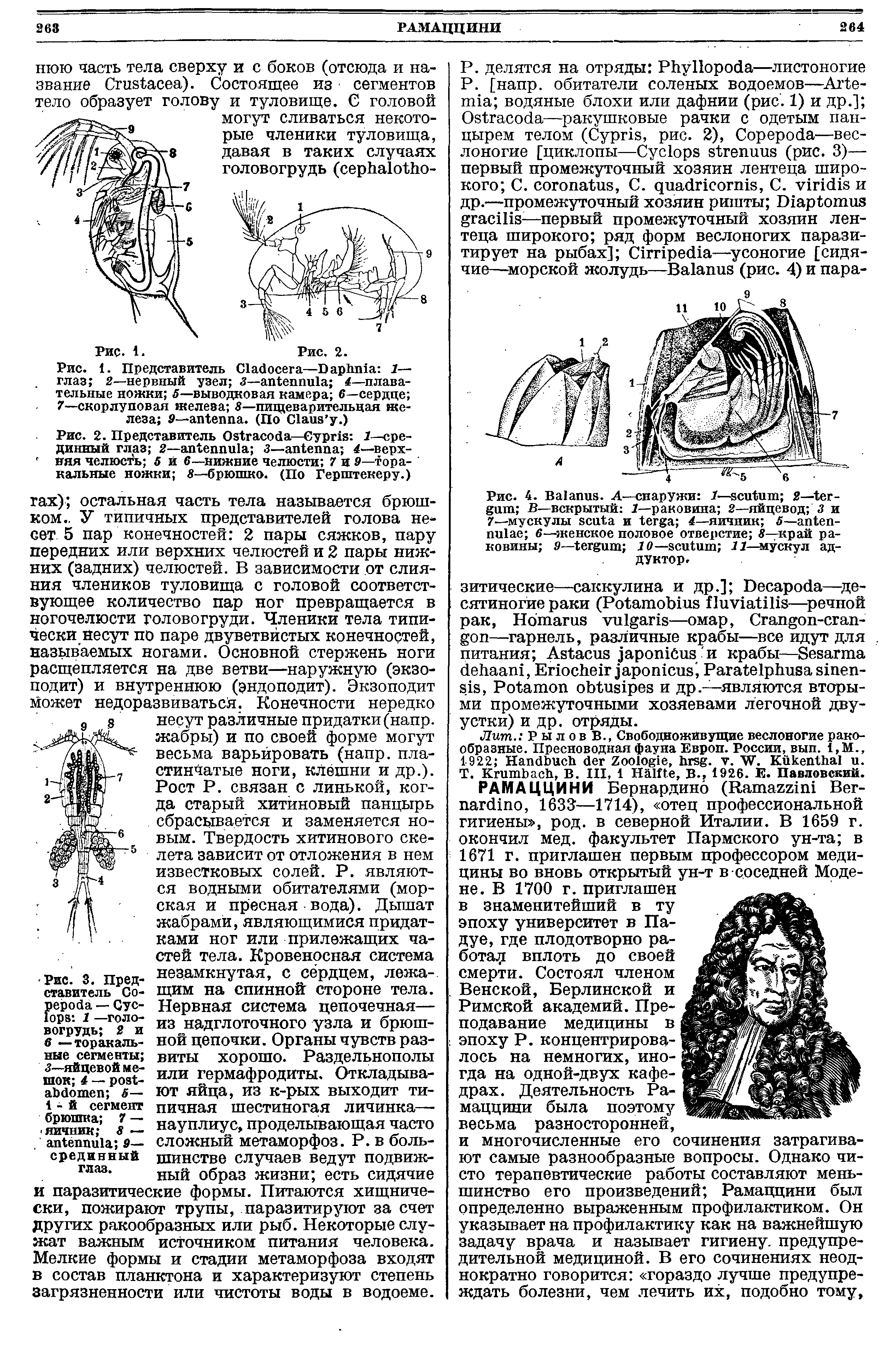 Рис. 1. Представитель C —D 1— глаз 2—нервный узел 3— 4—плавательные ножки 5—выводковая камера 6—сердце 7—скорлуповая железа 8—пищеварительная железа 9— . (По C .)...