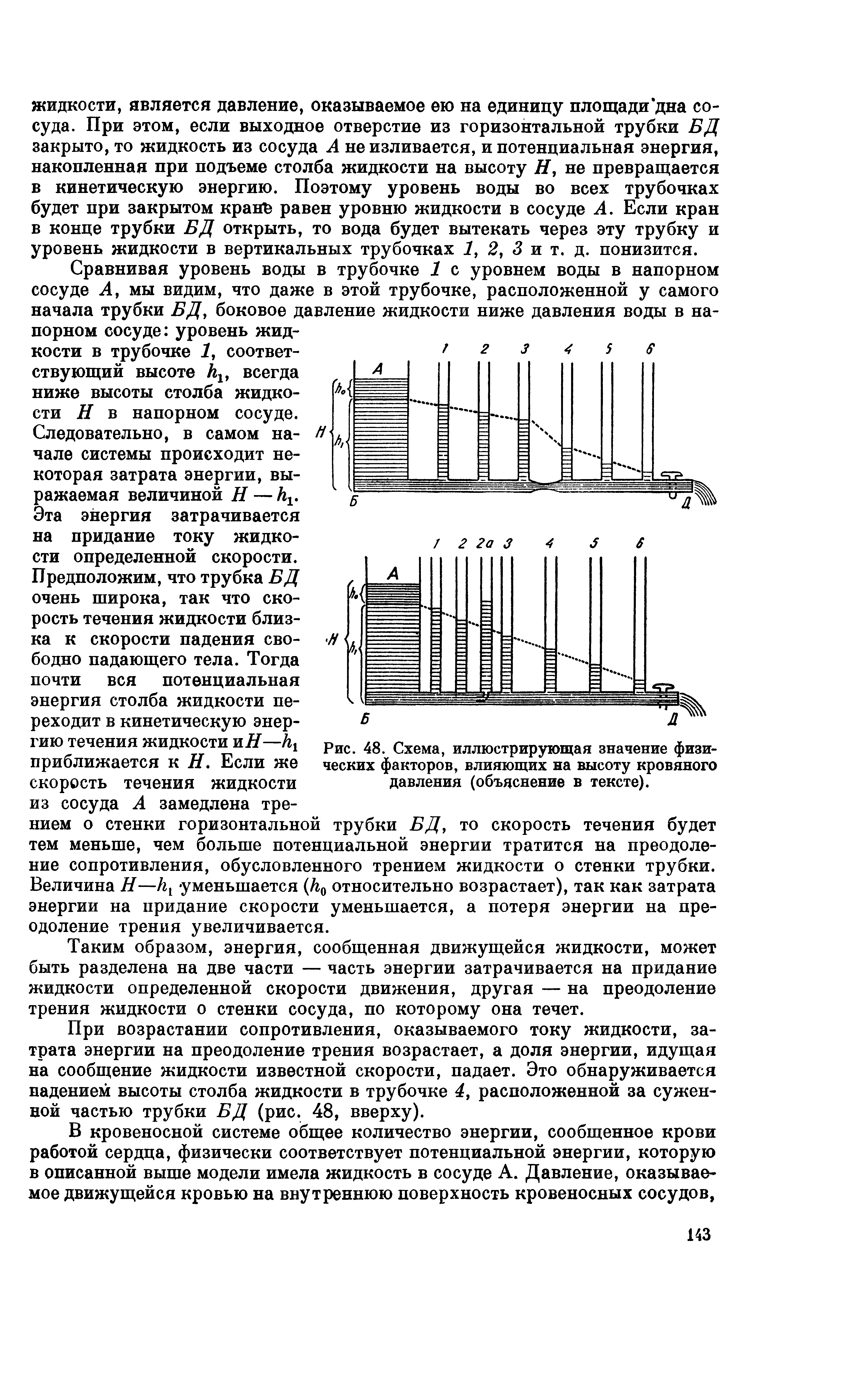 Рис. 48. Схема, иллюстрирующая значение физических факторов, влияющих на высоту кровяного давления (объяснение в тексте).