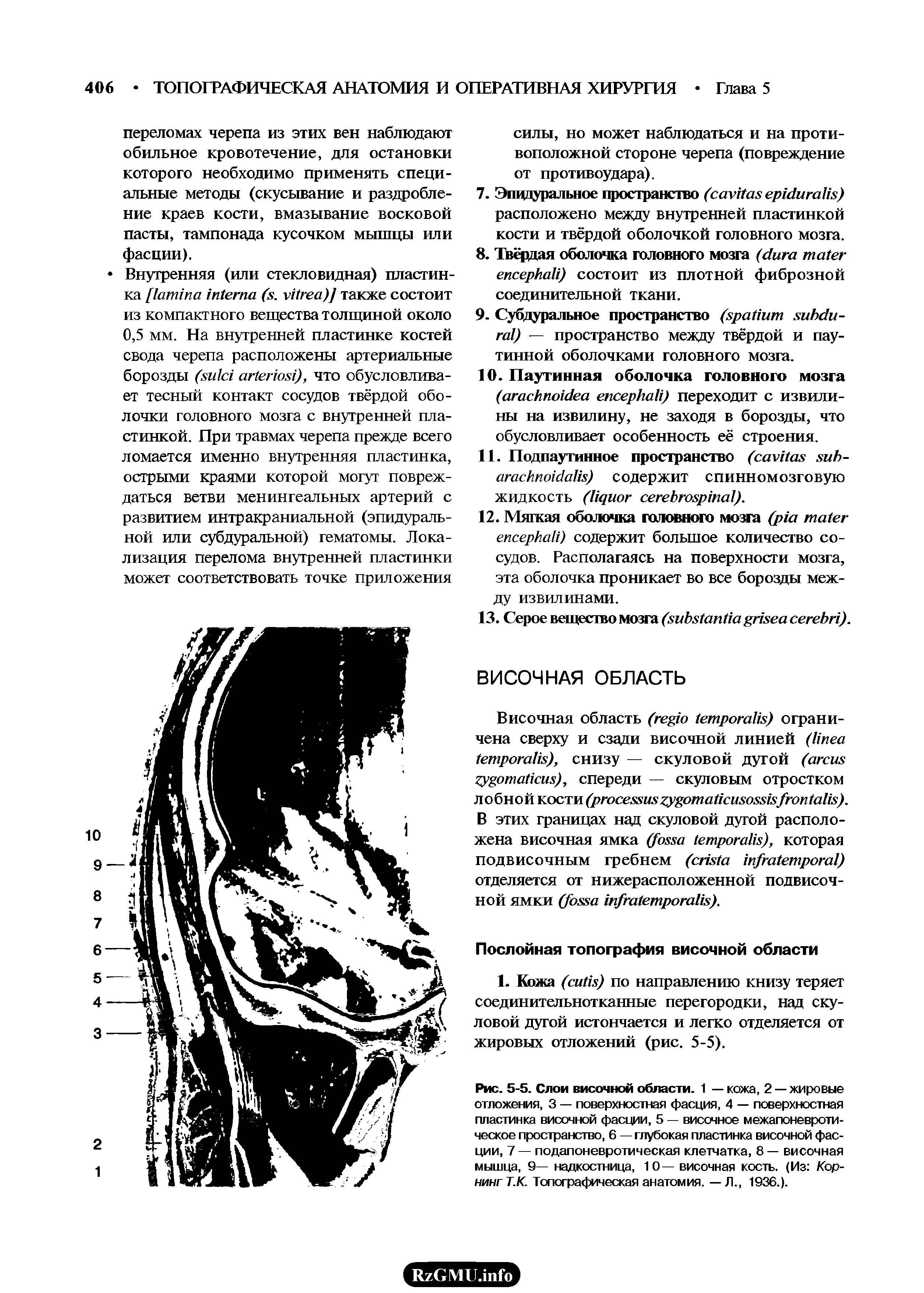 Рис. 5-5. Слои височной области. 1 — кожа, 2 — жировые отложения, 3 — поверхностная фасция, 4 — поверхностная пластинка височной фасции, 5 — височное межапоневротическое пространство, 6 — глубокая пластинка височной фасции, 7 — подапоневротическая клетчатка, 8 — височная мышца, 9— надкостница, 10— височная кость. (Из Корнинг Т.К. Топографическая анатомия. — Л., 1936.).