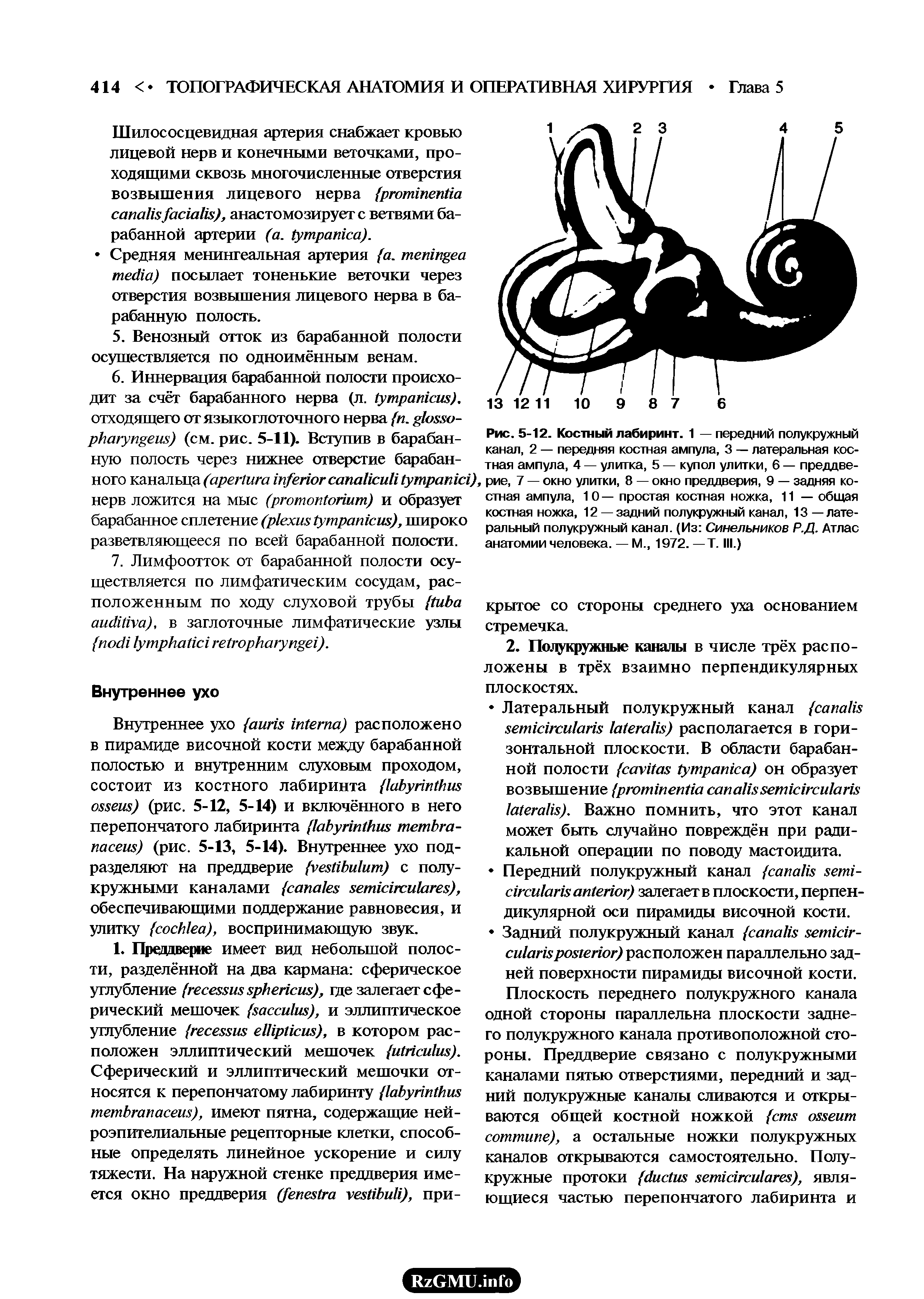 Рис. 5-12. Костный лабиринт. 1 — передний полукружный канал, 2 — передняя костная ампула, 3 — латеральная костная ампула, 4 — улитка, 5 — купол улитки, 6 — преддверие, 7 — окно улитки, 8 — окно преддверия, 9 — задняя костная ампула, 1 О — простая костная ножка, 11 — общая костная ножка, 12 — задний полукружный канал, 13 — латеральный полукружный канал. (Из Синельников Р.Д. Атлас анатомии человека. — М., 1972. — Т. III.)...