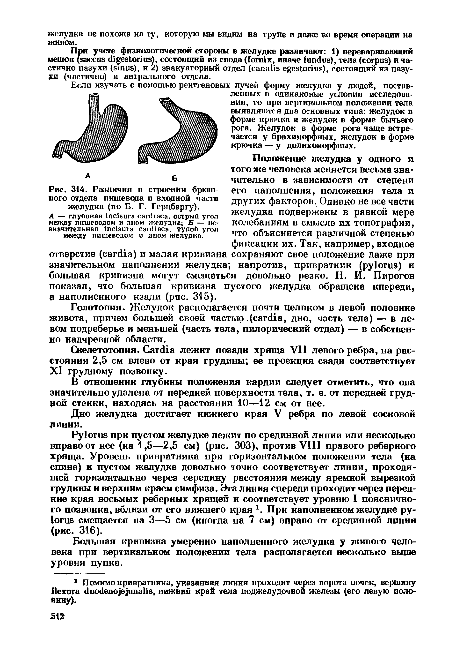 Рис. 314. Различия в строении брюшного отдела пищевода и входной части желудка (по Б. Г. Герцбергу).