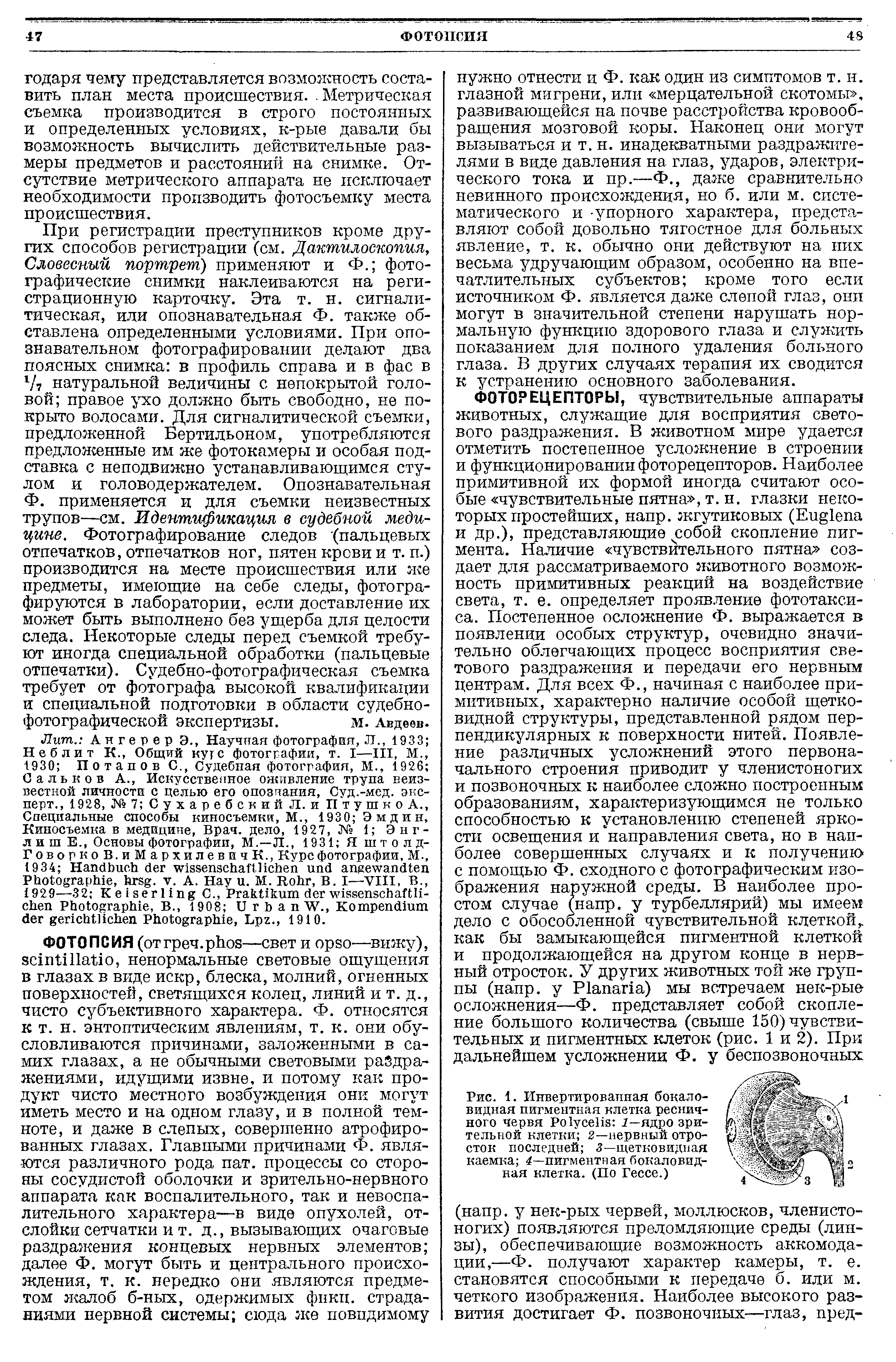 Рис. 1. Инвертированная бокаловидная пигментная клетка ресничного червя Ро1усеИз 1—ядро зрительной клетки 2—нервный отросток последней 3—щетковидная каемка 4—пигментная бокаловидная клетка. (По Гессе.)...