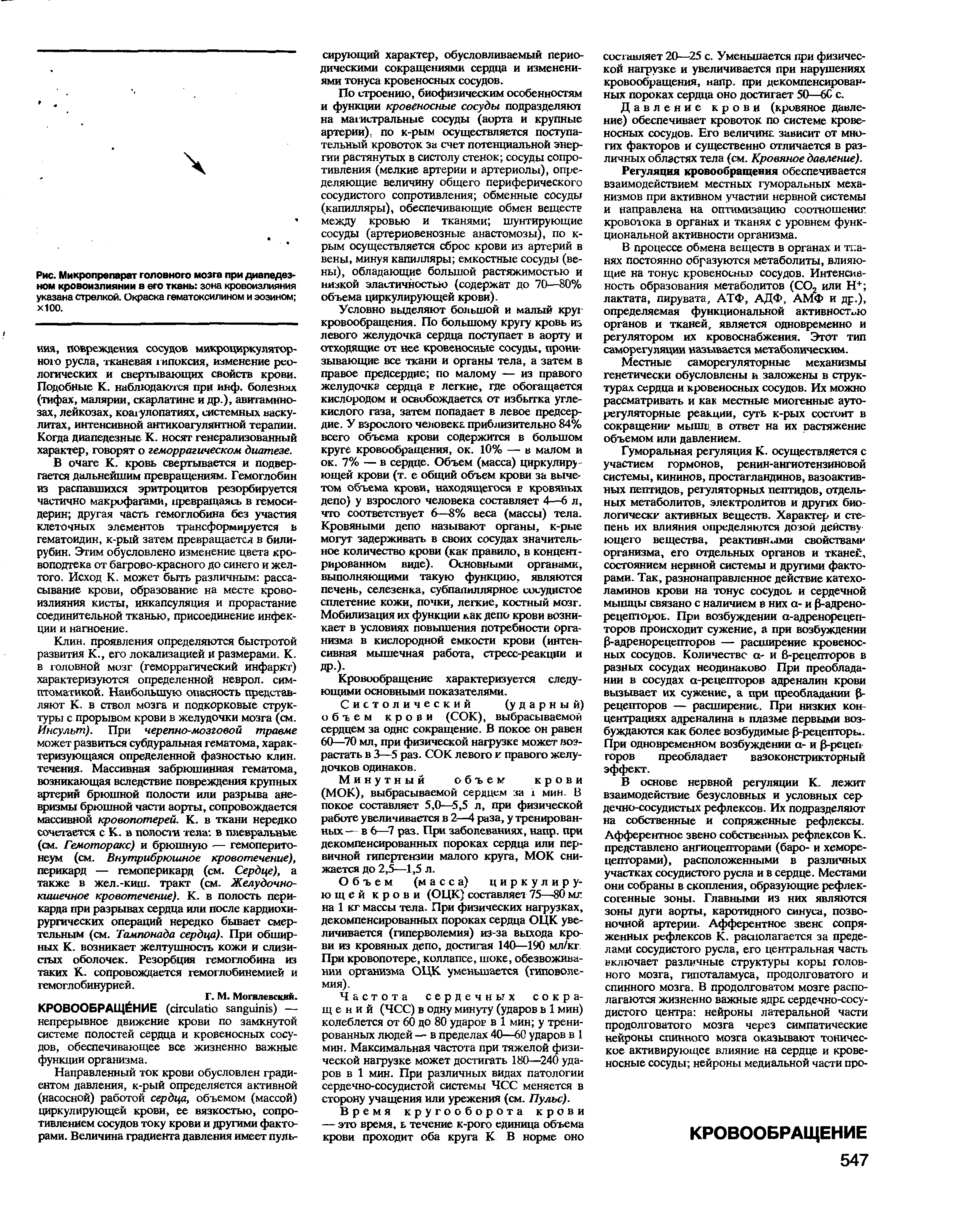 Рис. Микропрепарат головного мозга при диапедез-ном кровоизлиянии в его ткань зона кровоизлияния указана стрелкой. Окраска гематоксилином и эозином хЮО.