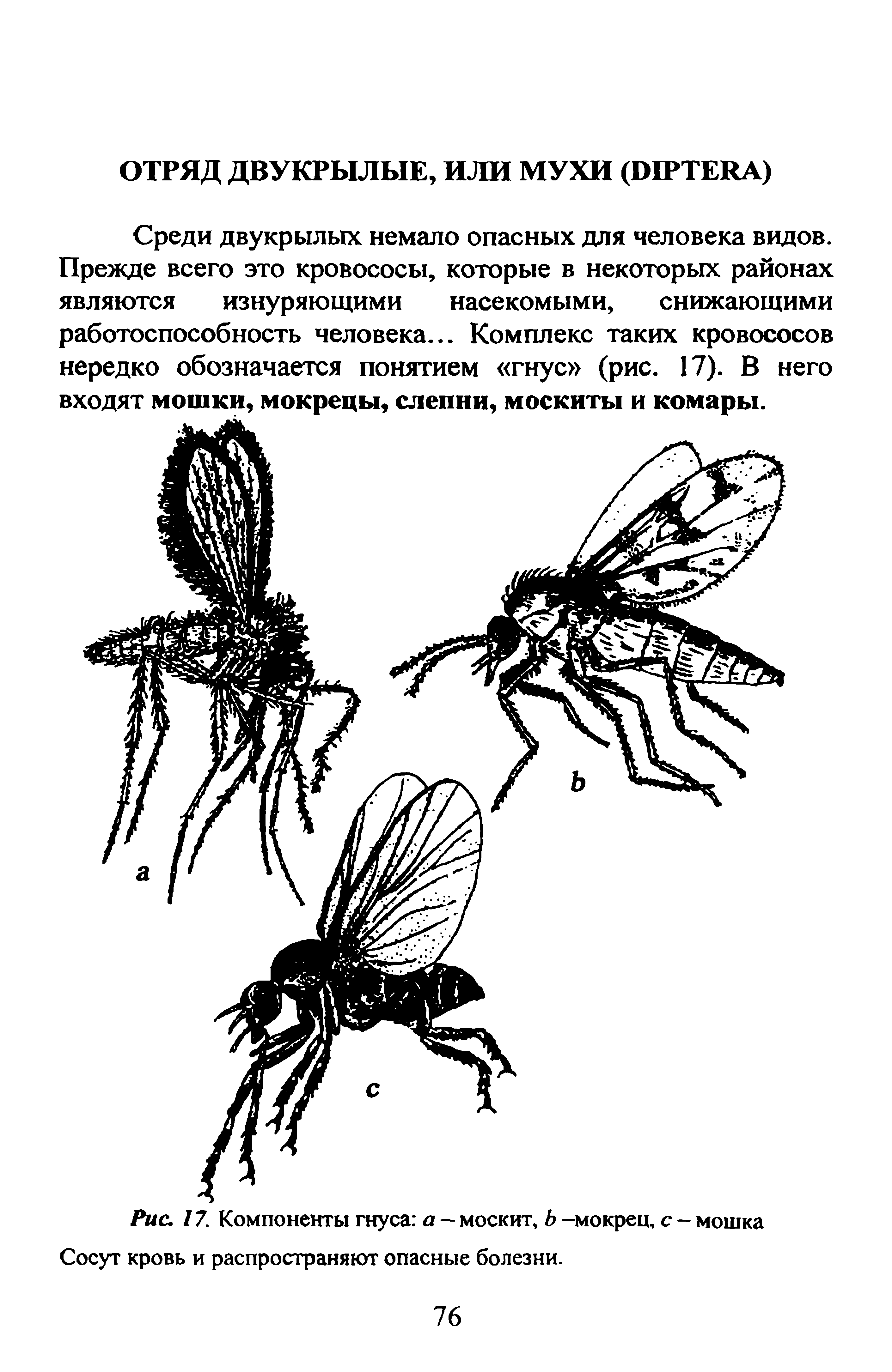 Рис. 17. Компоненты гнуса а — москит, Ь -мокрец, с - мошка Сосут кровь и распространяют опасные болезни.