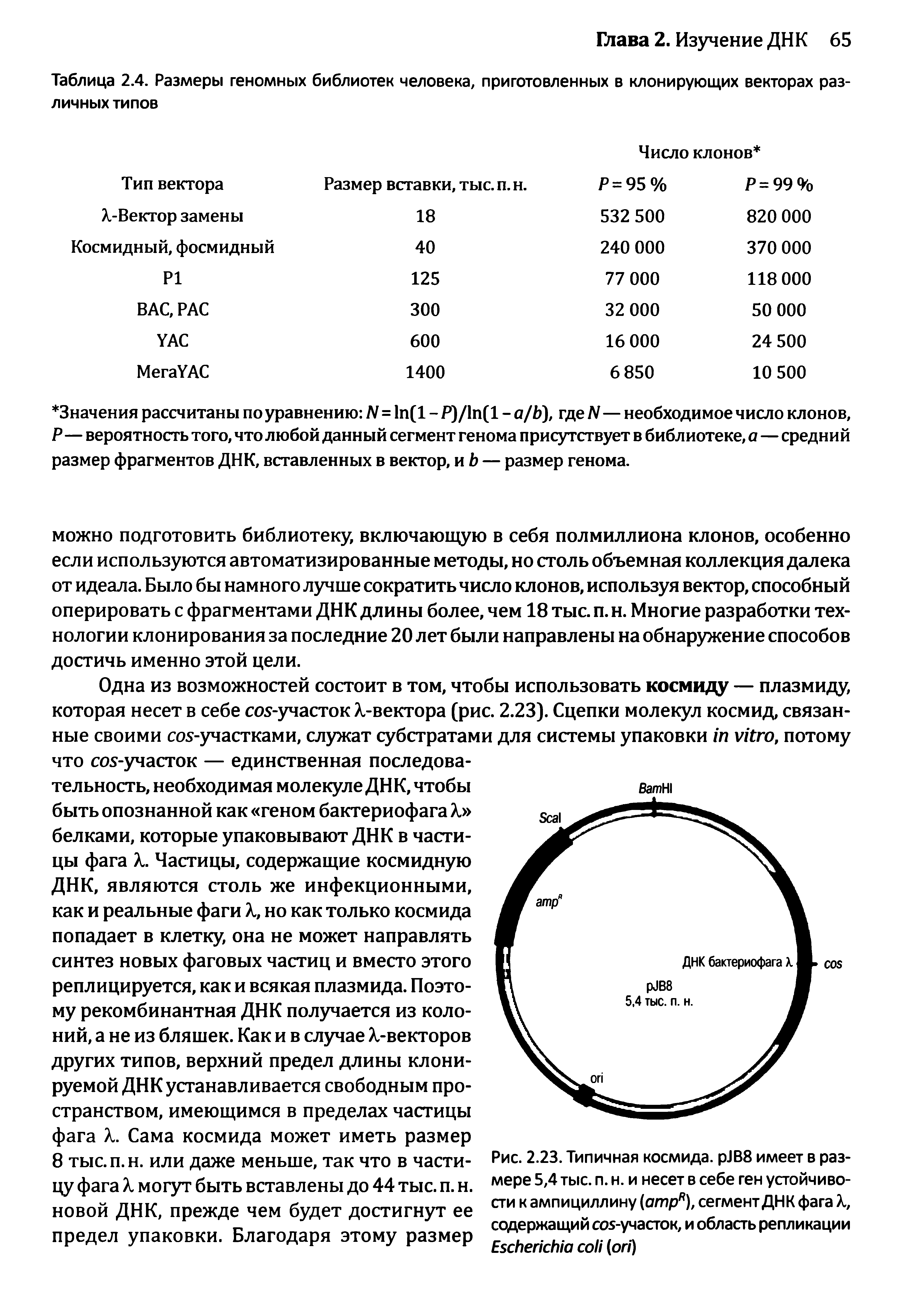 Таблица 2.4. Размеры геномных библиотек человека, приготовленных в клонирующих векторах различных типов...