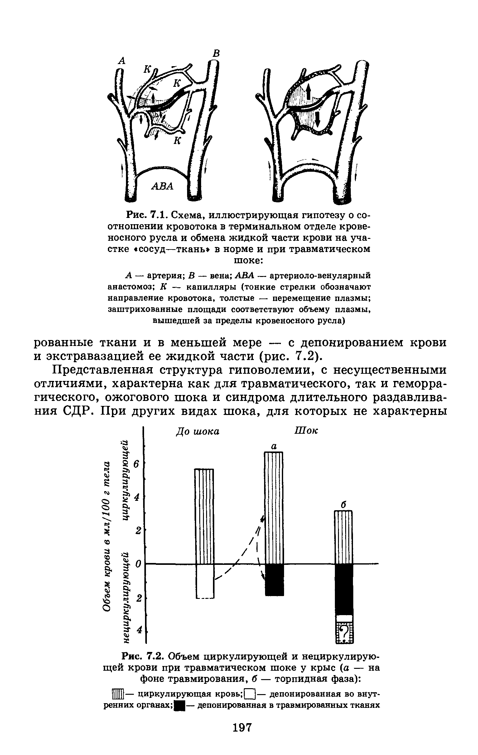 Рис. 7.2. Объем циркулирующей и нециркулирующей крови при травматическом шоке у крыс (а — на фоне травмирования, б — торпидная фаза) ...