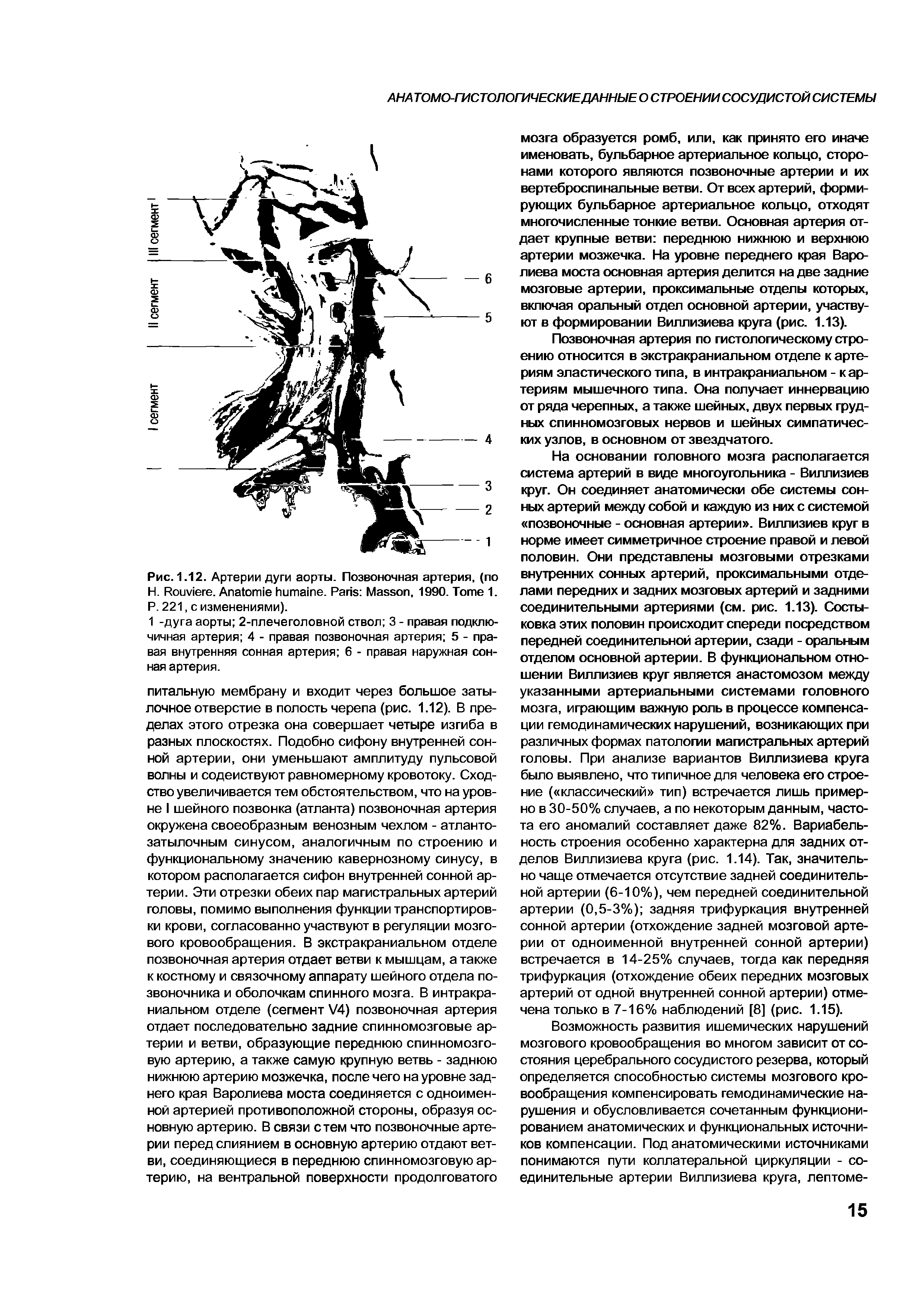 Рис. 1.12. Артерии дуги аорты. Позвоночная артерия, (по H. R . A . P M , 1990. T 1. P. 221, с изменениями).