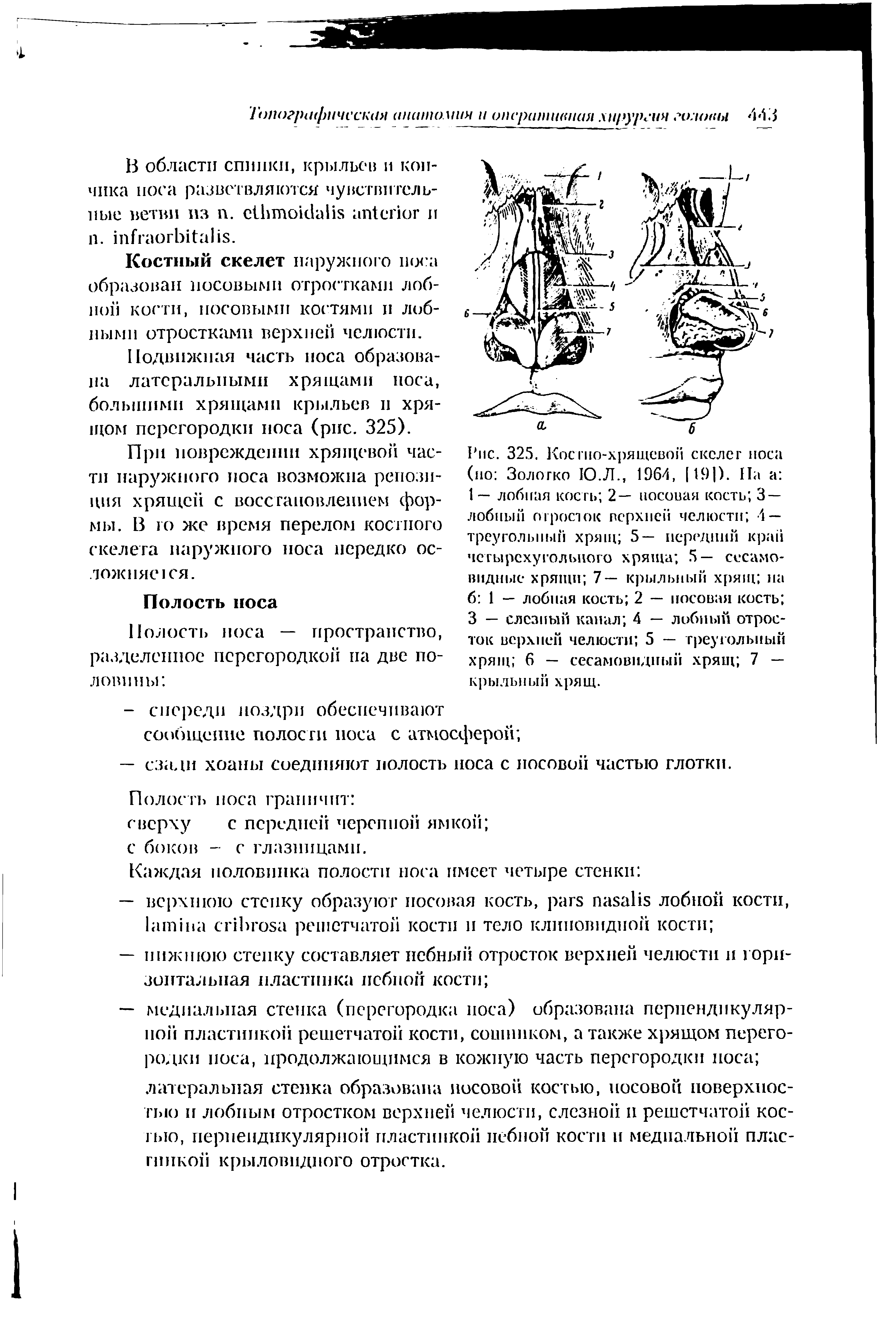 Рис. 325. Костно-хрящевой скелет носа (но Золотко 10.Л., 1964, 119 ). Па а 1— лобная кость 2— носовая кость 3 — лобный отросток верхней челюсти 4 — треугольный хрящ 5— передний край четырехугольного хряща 5— сесамовидные хрящи 7— крыльный хрящ на б 1 — лобная кость 2 — носовая кость 3 — слезный канал 4 — лобный отросток верхней челюсти 5 — треугольный хрящ 6 — сесамовидный хрящ 7 — крыльный хрящ.