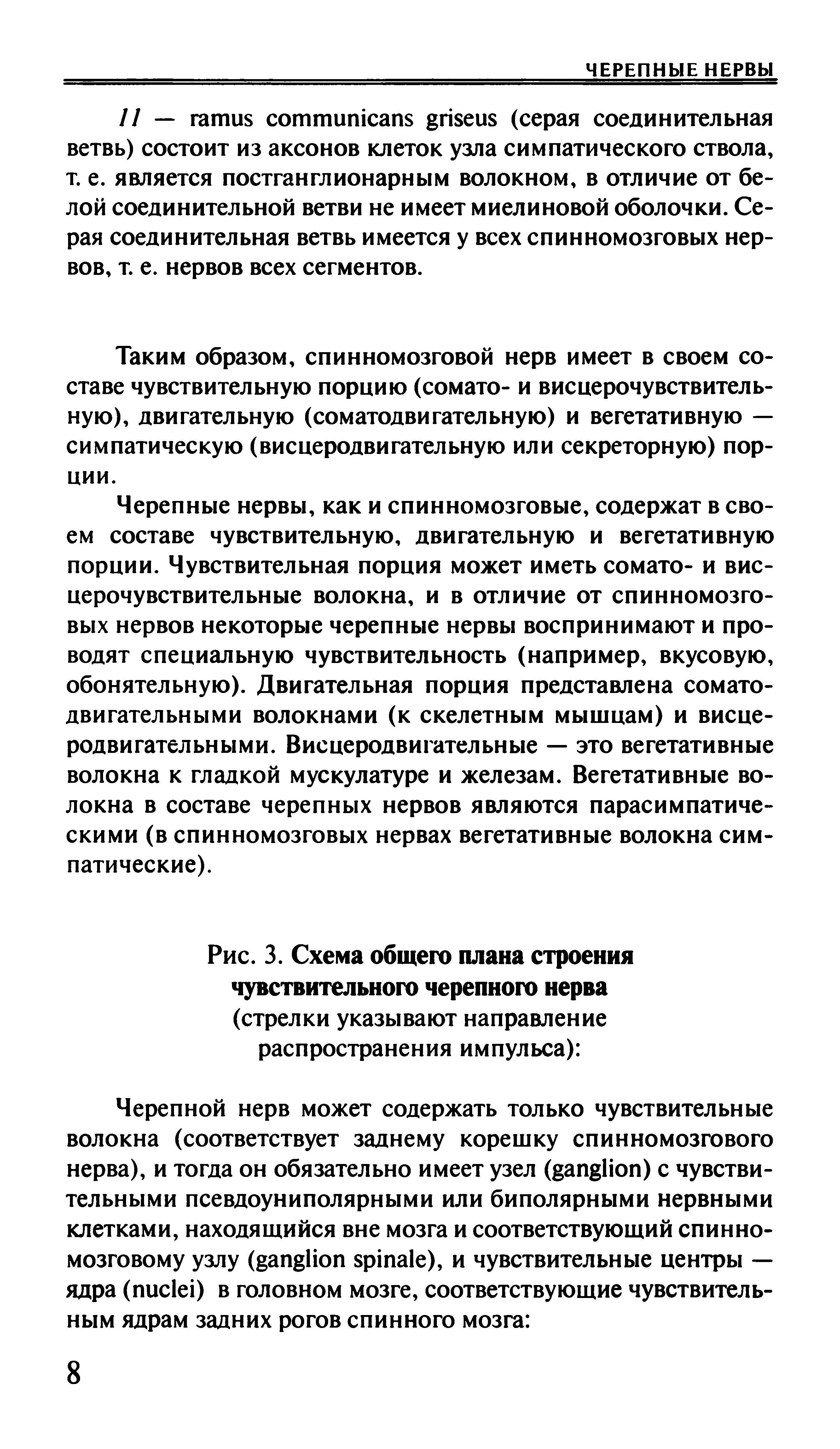 Рис. 3. Схема общего плана строения чувствительного черепного нерва (стрелки указывают направление распространения импульса) ...