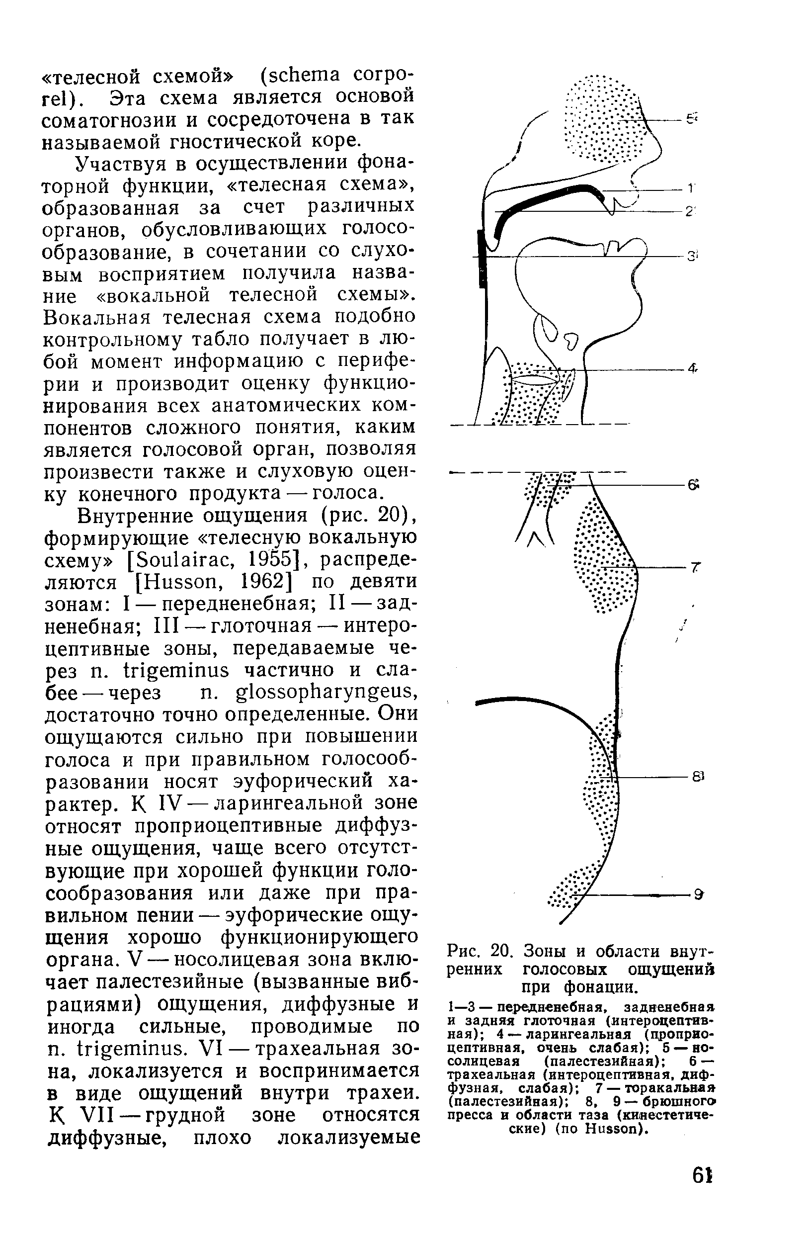 Рис. 20. Зоны и области внутренних голосовых ощущений при фонации.