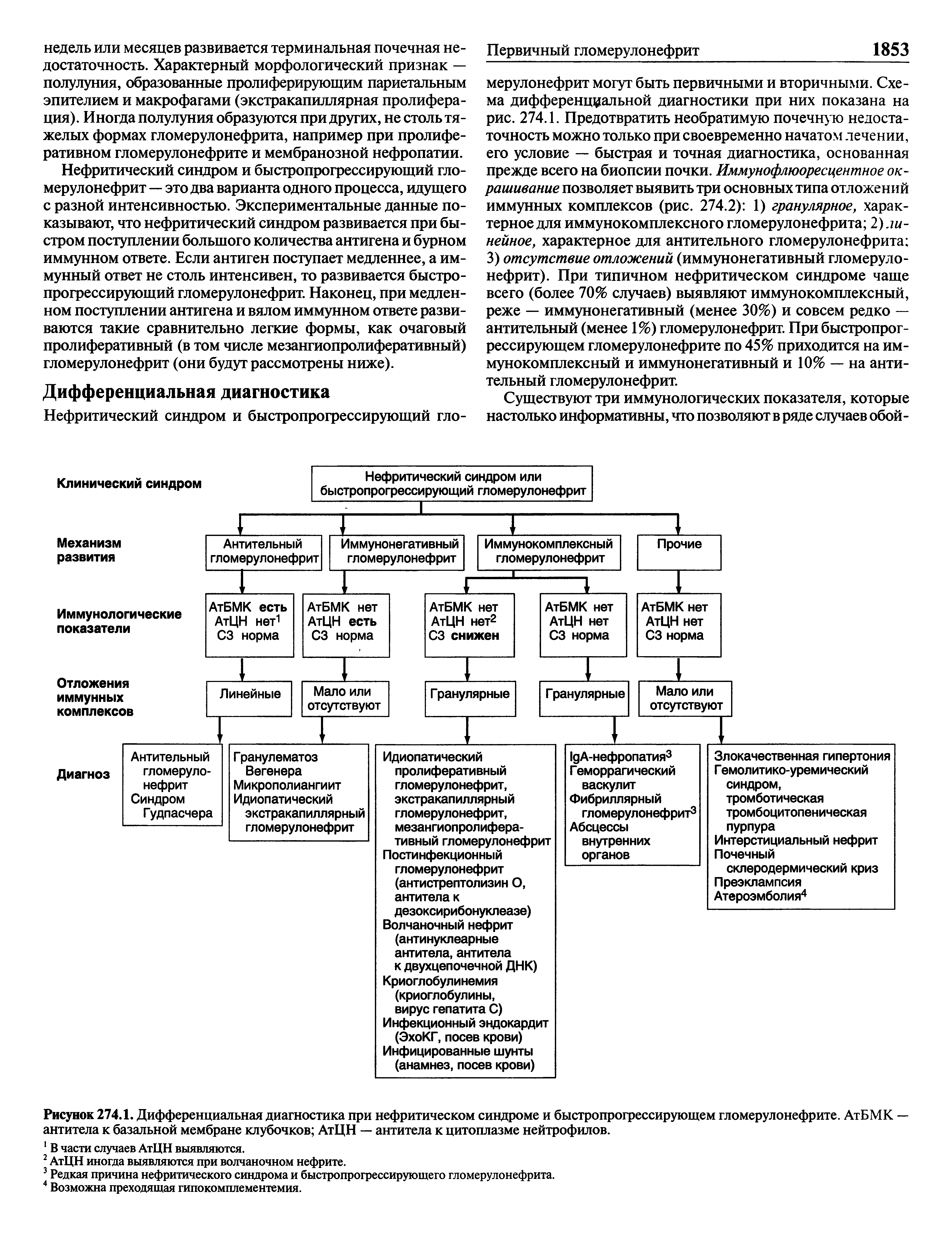 Рисунок 274.1. Дифференциальная диагностика при нефритическом синдроме и быстропрогрессирующем гломерулонефрите. АтБМК — антитела к базальной мембране клубочков АтЦН — антитела к цитоплазме нейтрофилов.