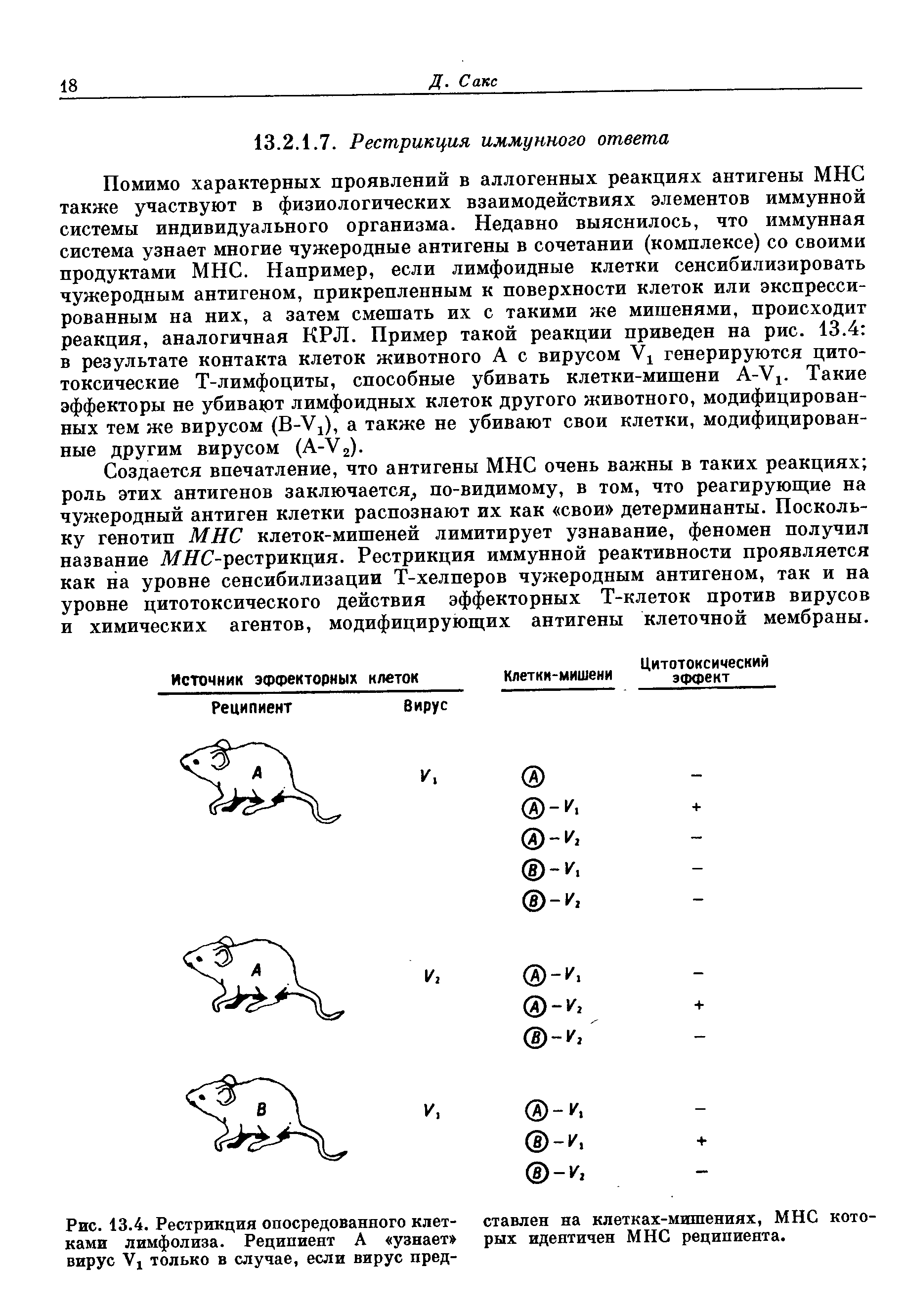 Рис. 13.4. Рестрикция опосредованного клетками лимфолиза. Реципиент А узнает вирус Ух только в случае, если вирус пред-...