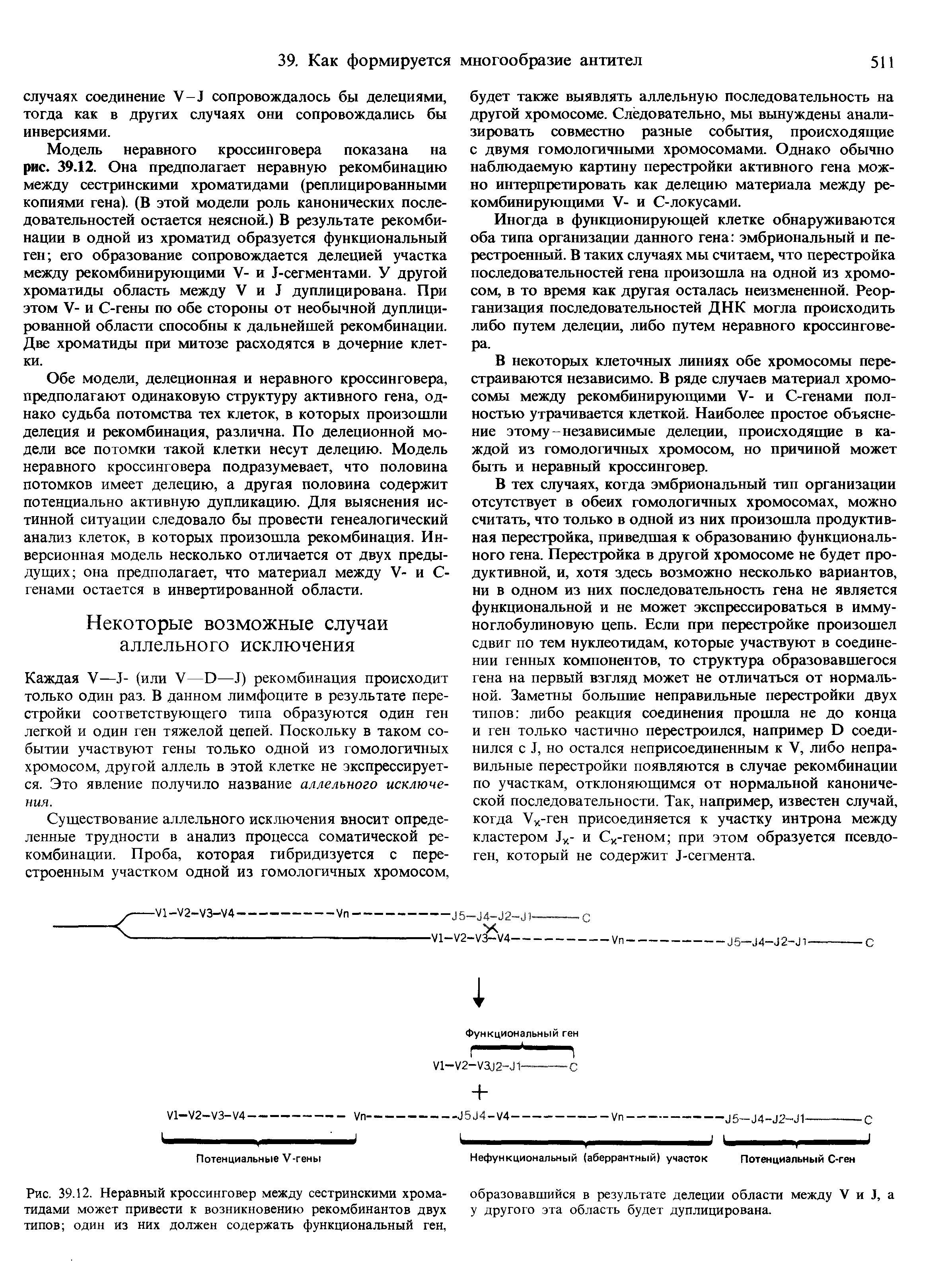 Рис. 39.12. Неравный кроссинговер между сестринскими хроматидами может привести к возникновению рекомбинантов двух типов один из них должен содержать функциональный ген,...