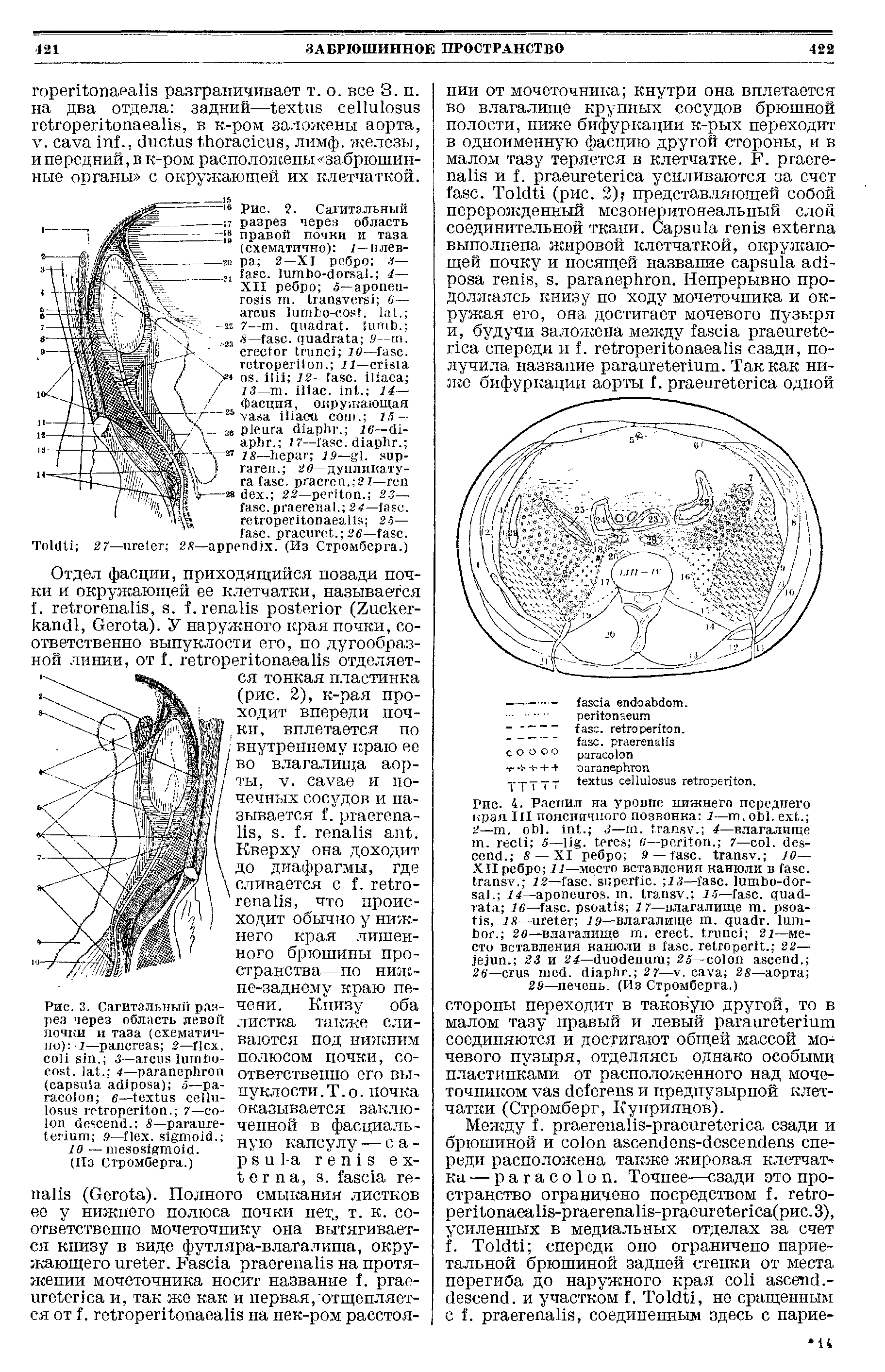 Рис. 2. Сагитальный разрез через область правой почки и таза (схематично) 1—плевра 2—XI ребро 3— . - . 4— XII ребро 5— . 6 — 1 - , . ...