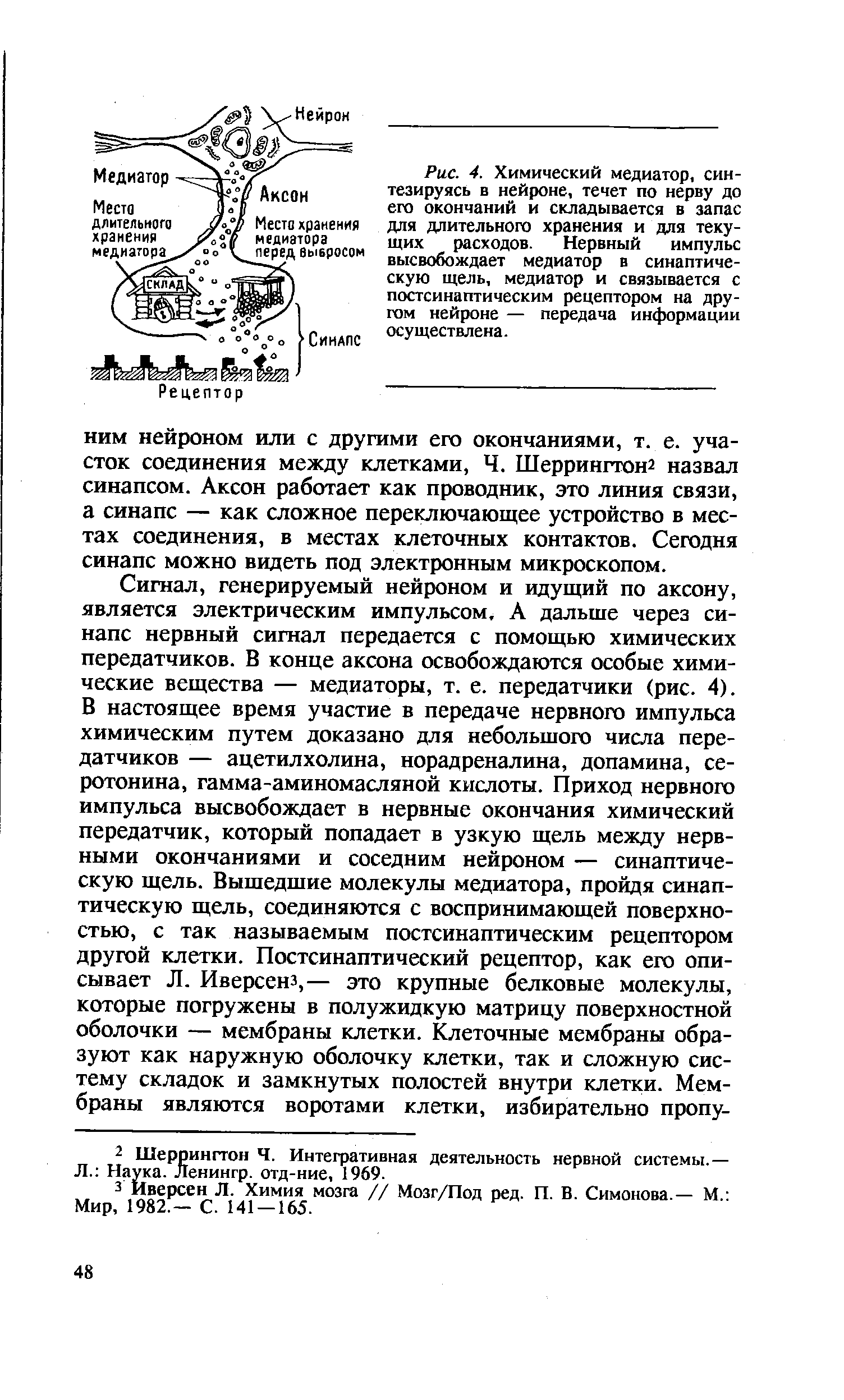 Рис. 4. Химический медиатор, синтезируясь в нейроне, течет по нерву до его окончаний и складывается в запас для длительного хранения и для текущих расходов. Нервный импульс высвобождает медиатор в синаптическую щель, медиатор и связывается с постсинаптическим рецептором на другом нейроне — передача информации осуществлена.