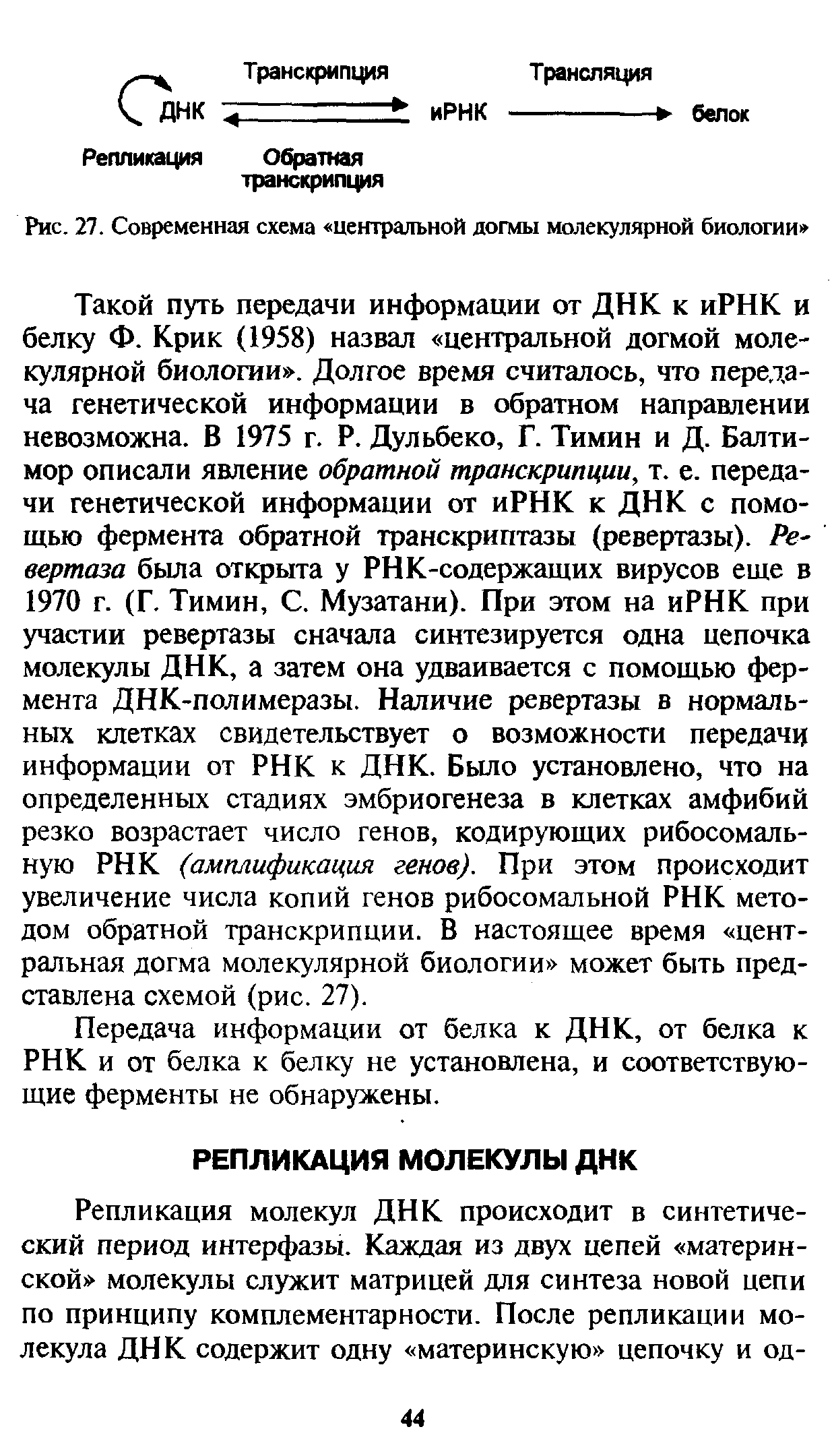 Рис. 27. Современная схема центральной догмы молекулярной биологии ...