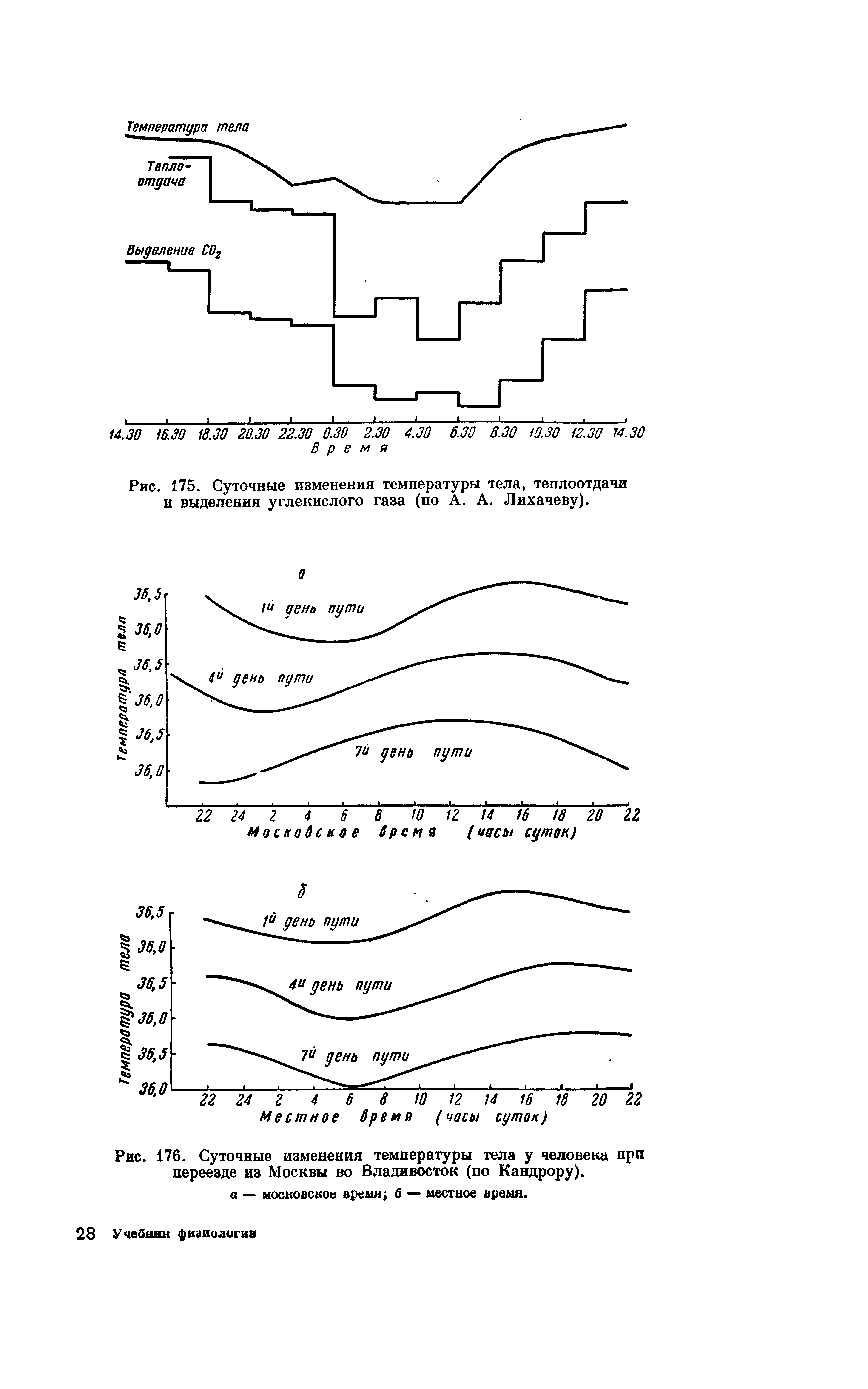 Рис. 175. Суточные изменения температуры тела, теплоотдачи и выделения углекислого газа (по А. А. Лихачеву).