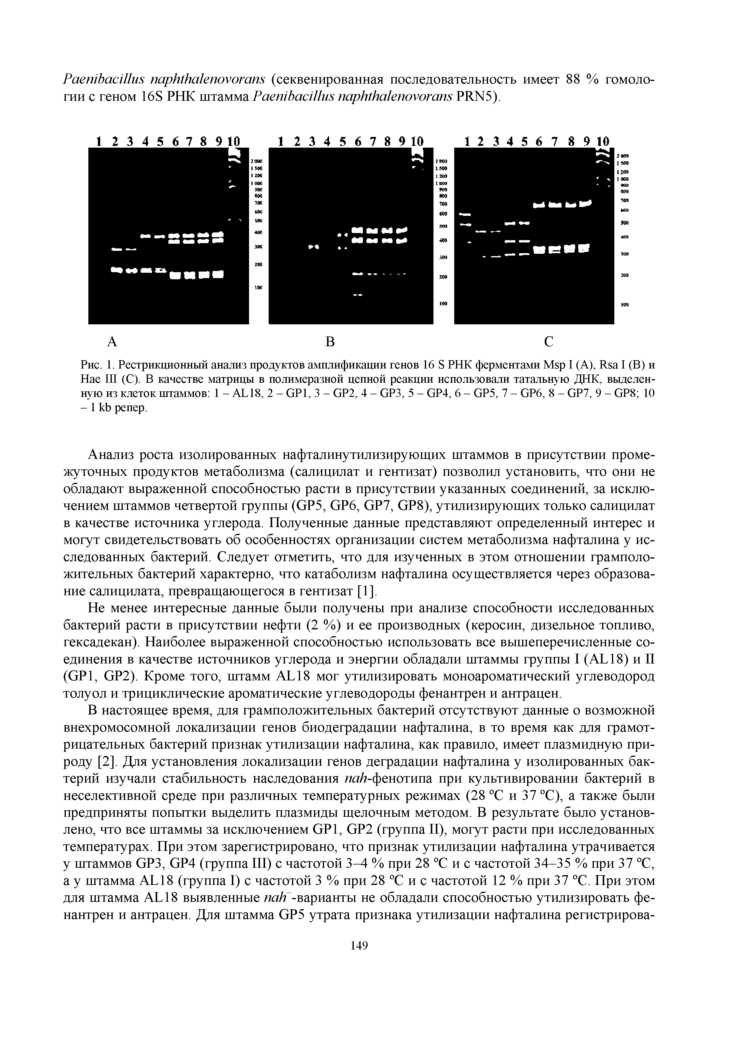 Рис. 1. Рестрикционный анализ продуктов амплификации генов 16 S РНК ферментами M I (A), R I (В) и Нае III (С). В качестве матрицы в полимеразной цепной реакции использовали татальную ДНК, выделенную из клеток штаммов 1 - AL18, 2 - GP1, 3 - GP2, 4 - GP3, 5 - GP4, 6 - GP5, 7 - GP6, 8 - GP7, 9 - GP8 10 - 1 репер.