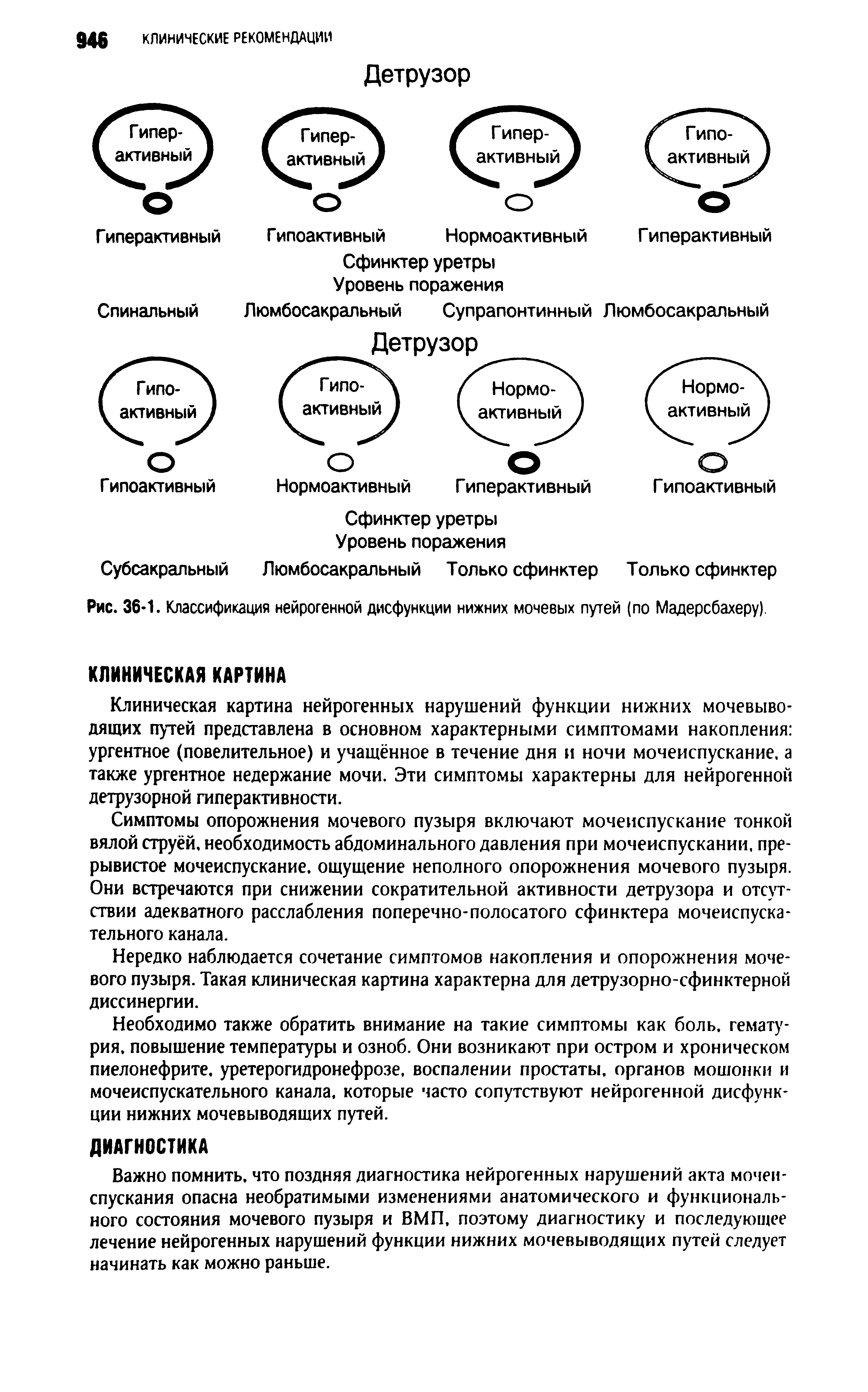 Рис. 36-1. Классификация нейрогенной дисфункции нижних мочевых путей (по Мадерсбахеру).