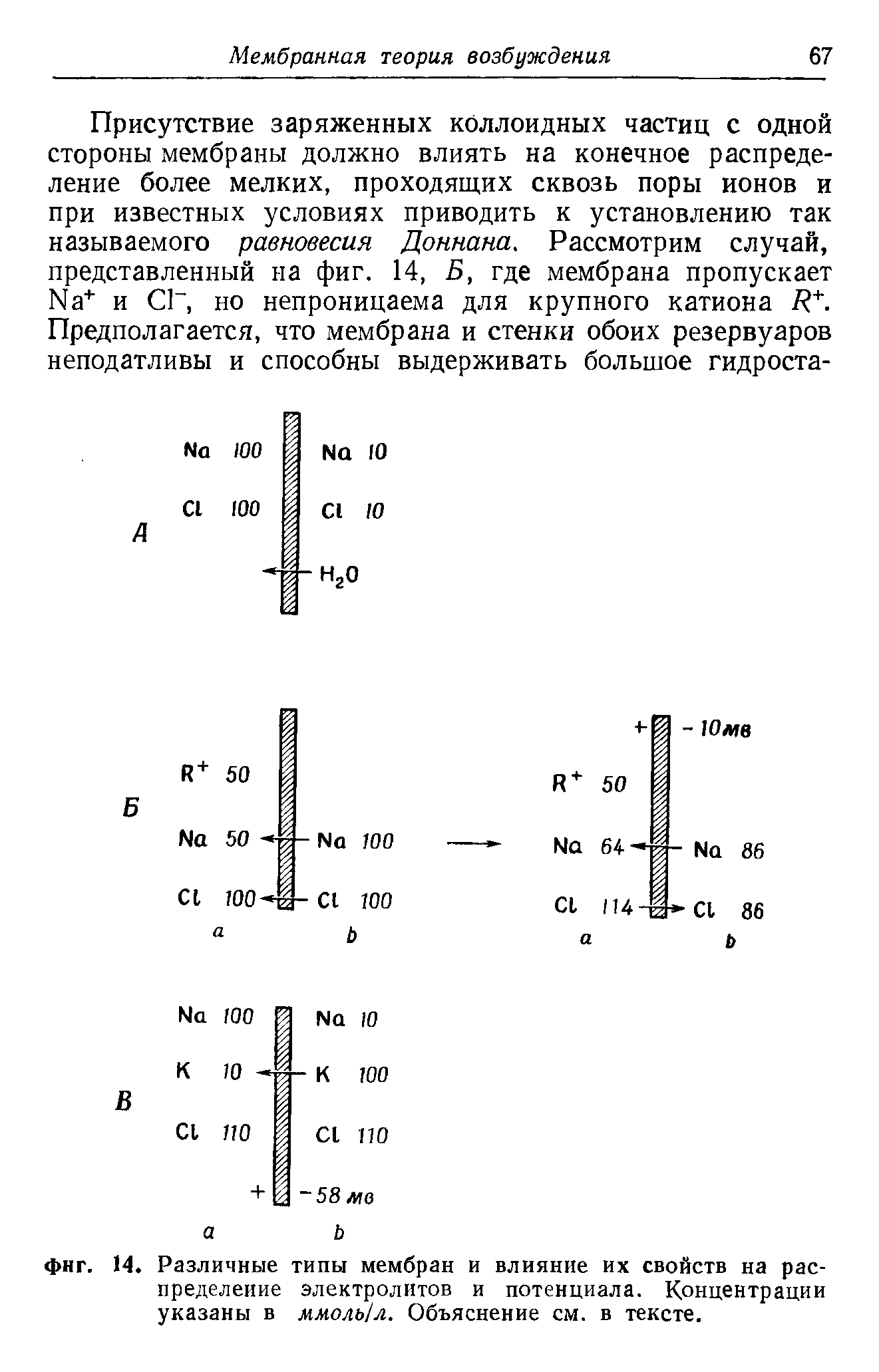 Фиг. 14. Различные типы мембран и влияние их свойств на распределение электролитов и потенциала. Концентрации указаны в ммоль/л. Объяснение см. в тексте.