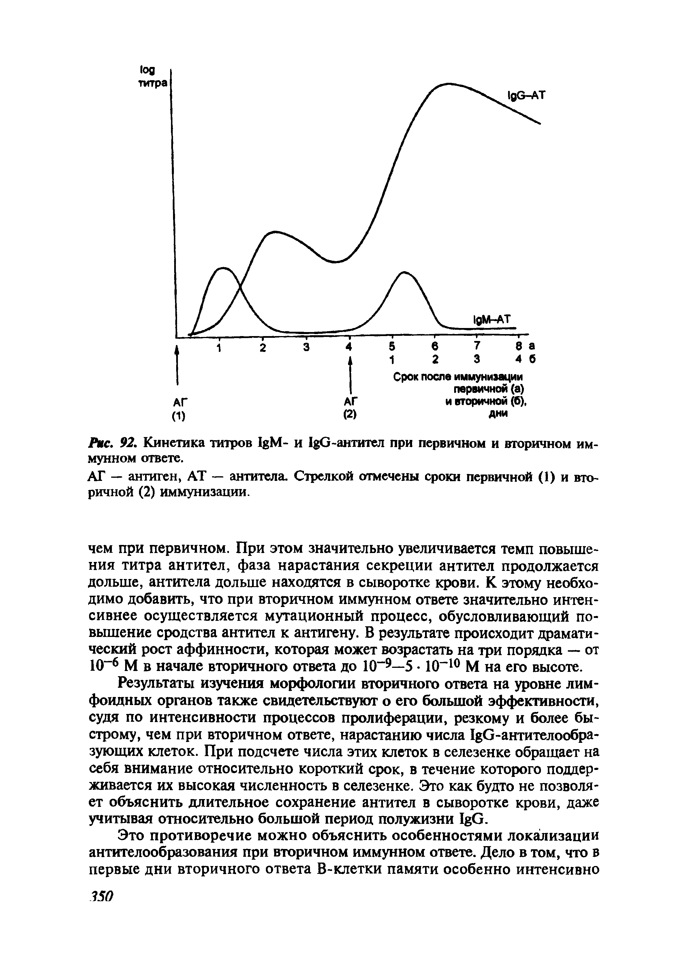 Рис. 92. Кинетика титров I M- и I G-антител при первичном и вторичном иммунном ответе.