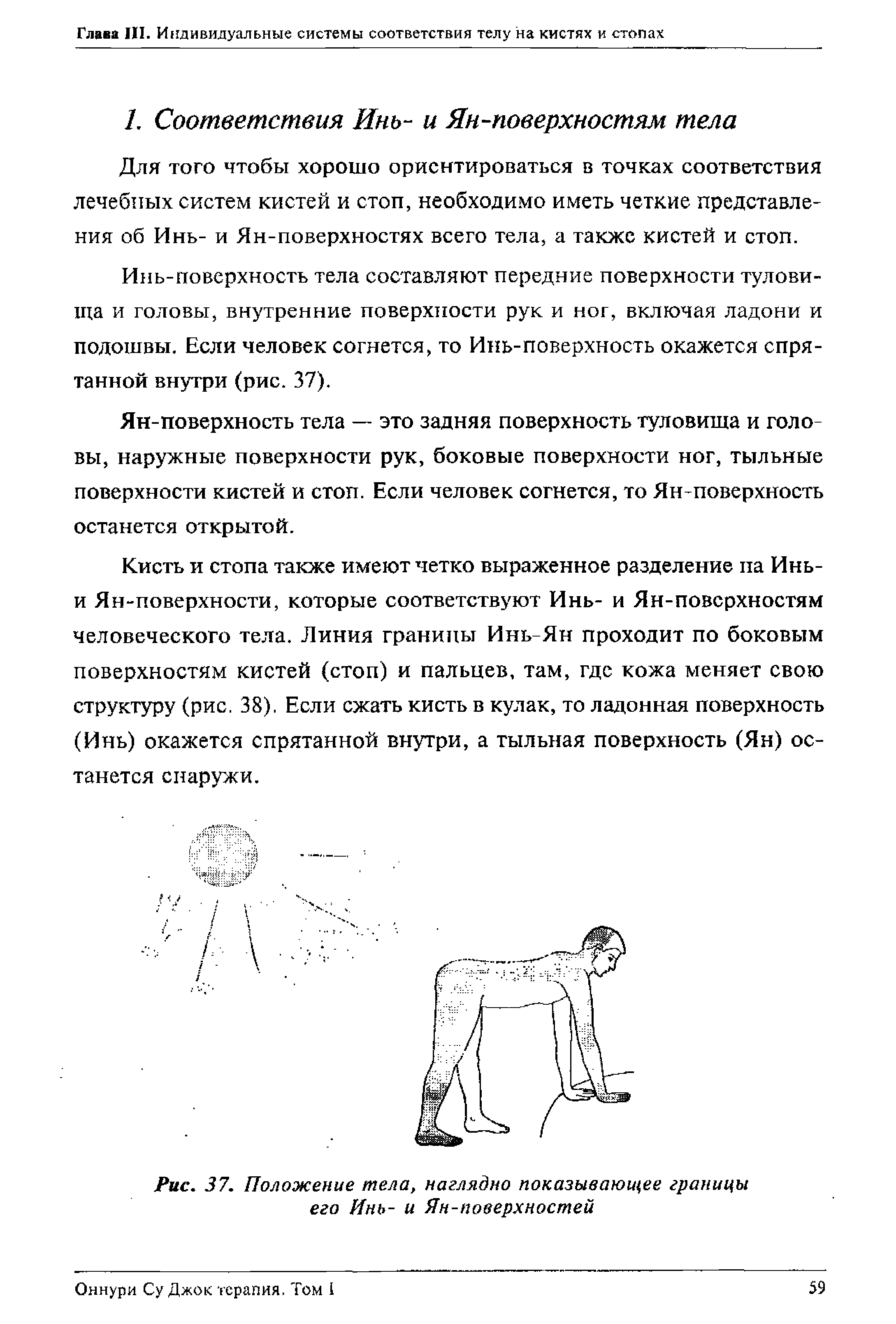 Рис. 37. Положение тела, наглядно показывающее границы его Инь- и Ян-новерхностей...