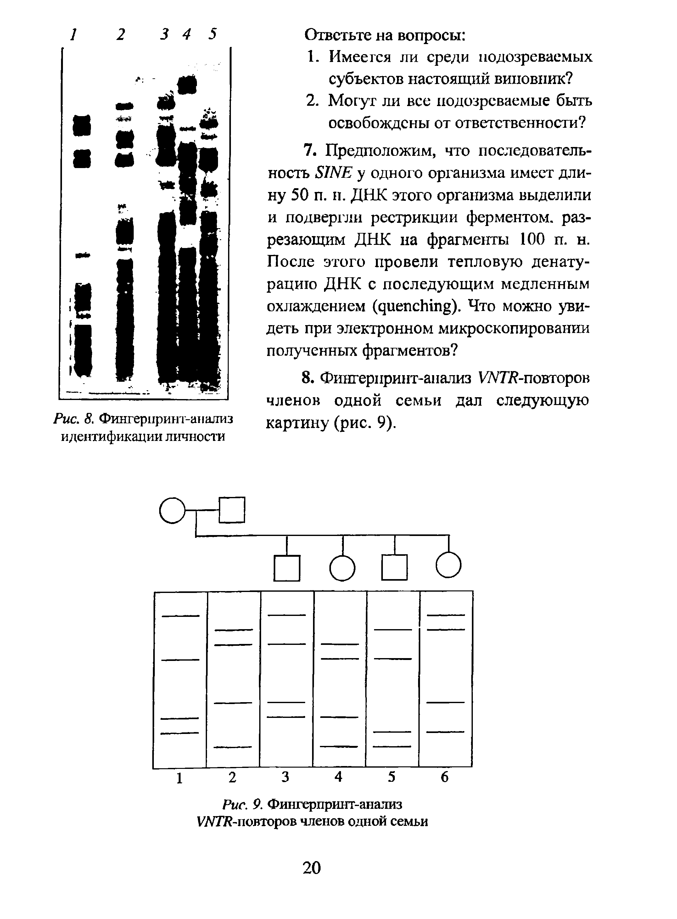 Рис. 9. Фингерпринт-анализ VNTR-повторов членов одной семьи...