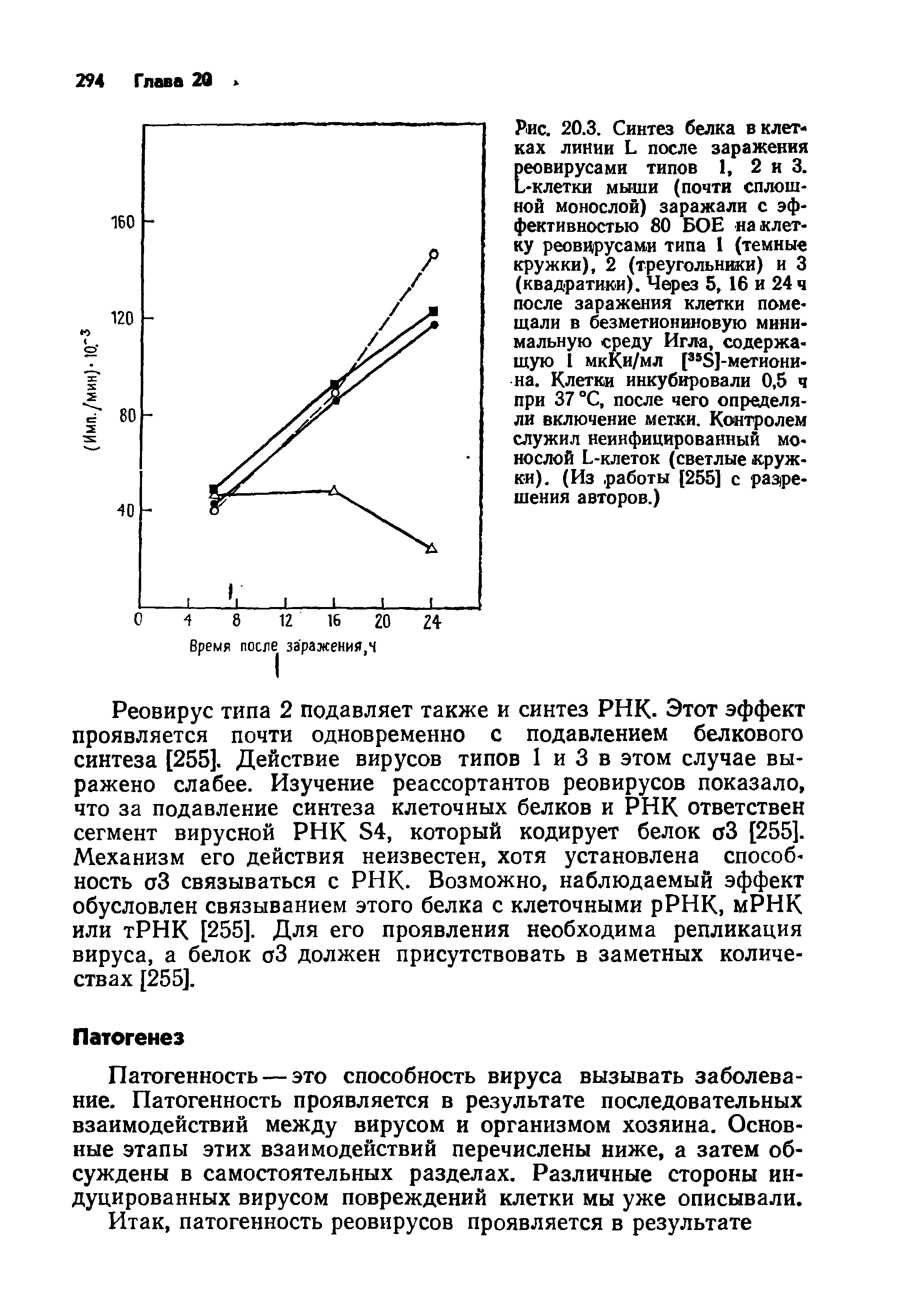 Рис. 20.3. Синтез белка в клетках линии Ь после заражения Ееовирусами типов 1, 2 и 3.