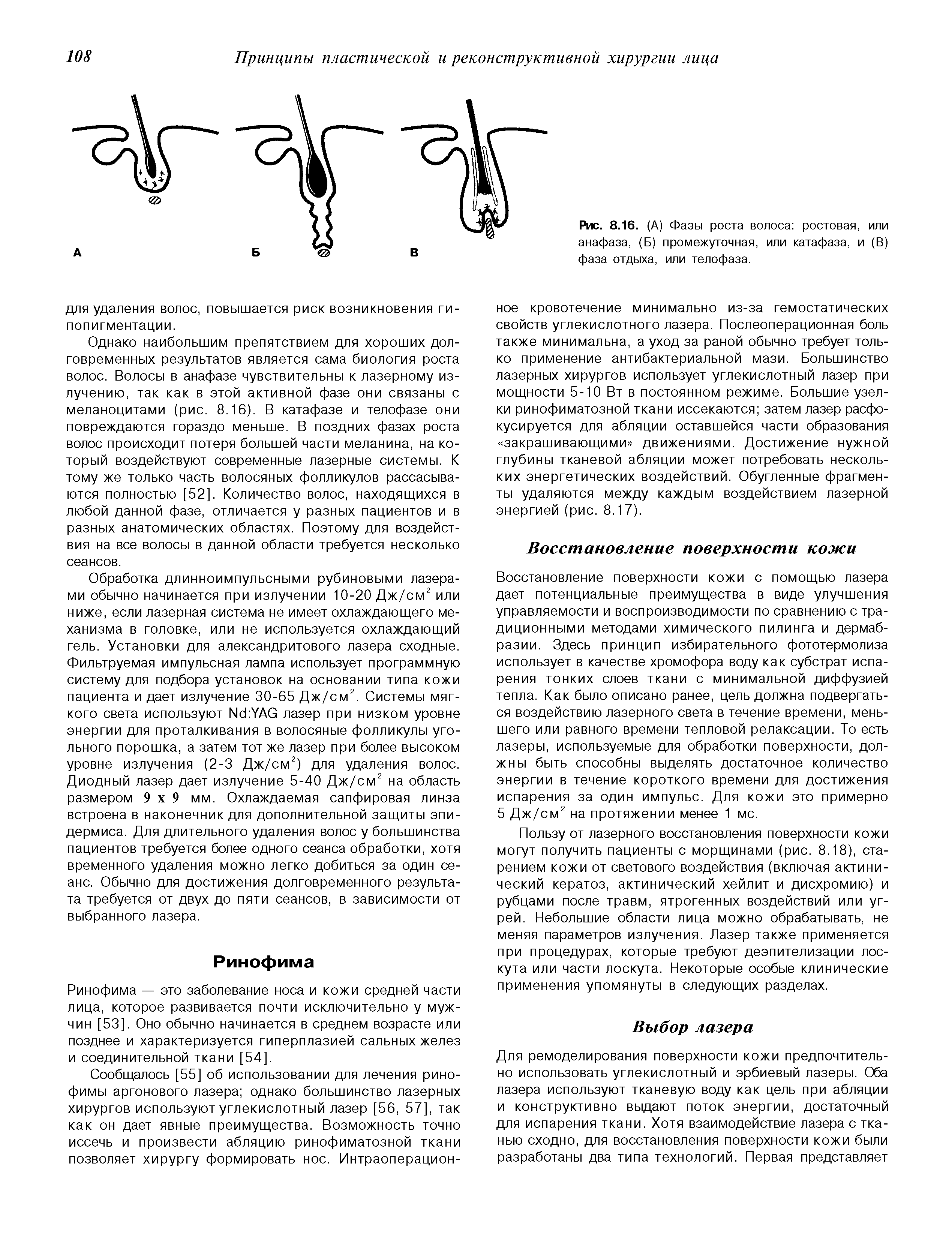 Рис. 8.16. (А) Фазы роста волоса ростовая, или анафаза, (Б) промежуточная, или катафаза, и (В) фаза отдыха, или телофаза.