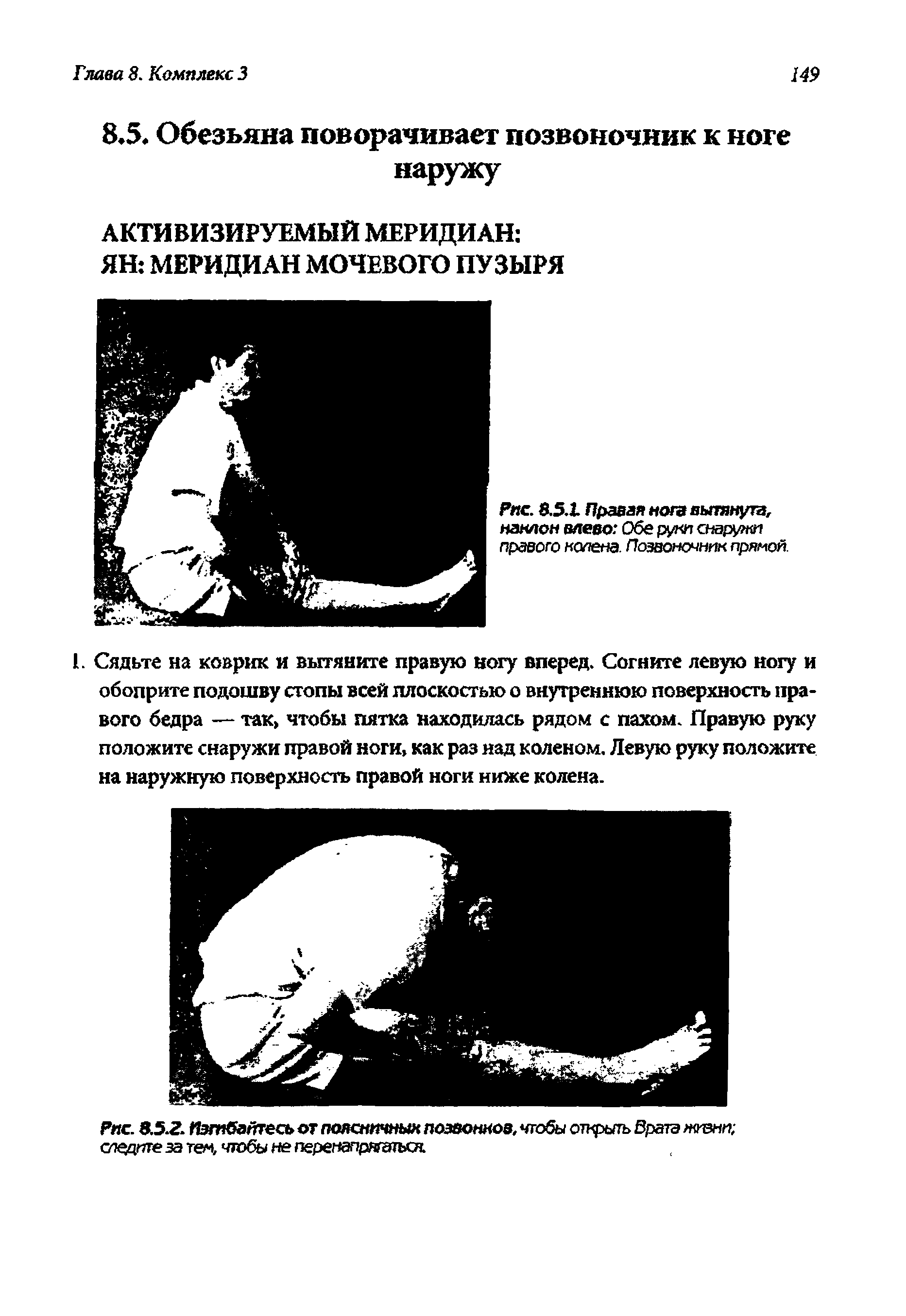 Рис. 8.5.2. Изгибайтесь от поясничный позвонков, чтобы открыть Врата жизни следите за тем, чтобы не перенапрягаться.