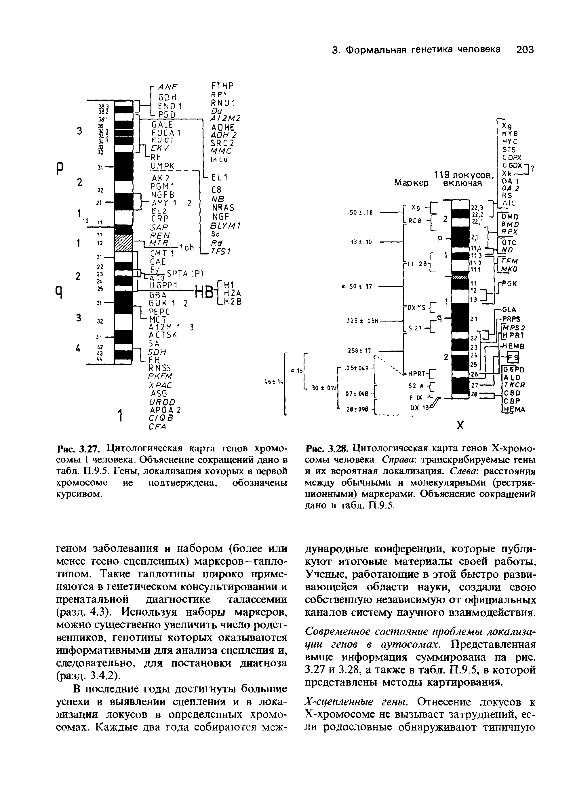 Рис. 3.27. Цитологическая карта генов хромосомы 1 человека. Объяснение сокращений дано в табл. П.9.5. Гены, локализация которых в первой хромосоме не подтверждена, обозначены курсивом.