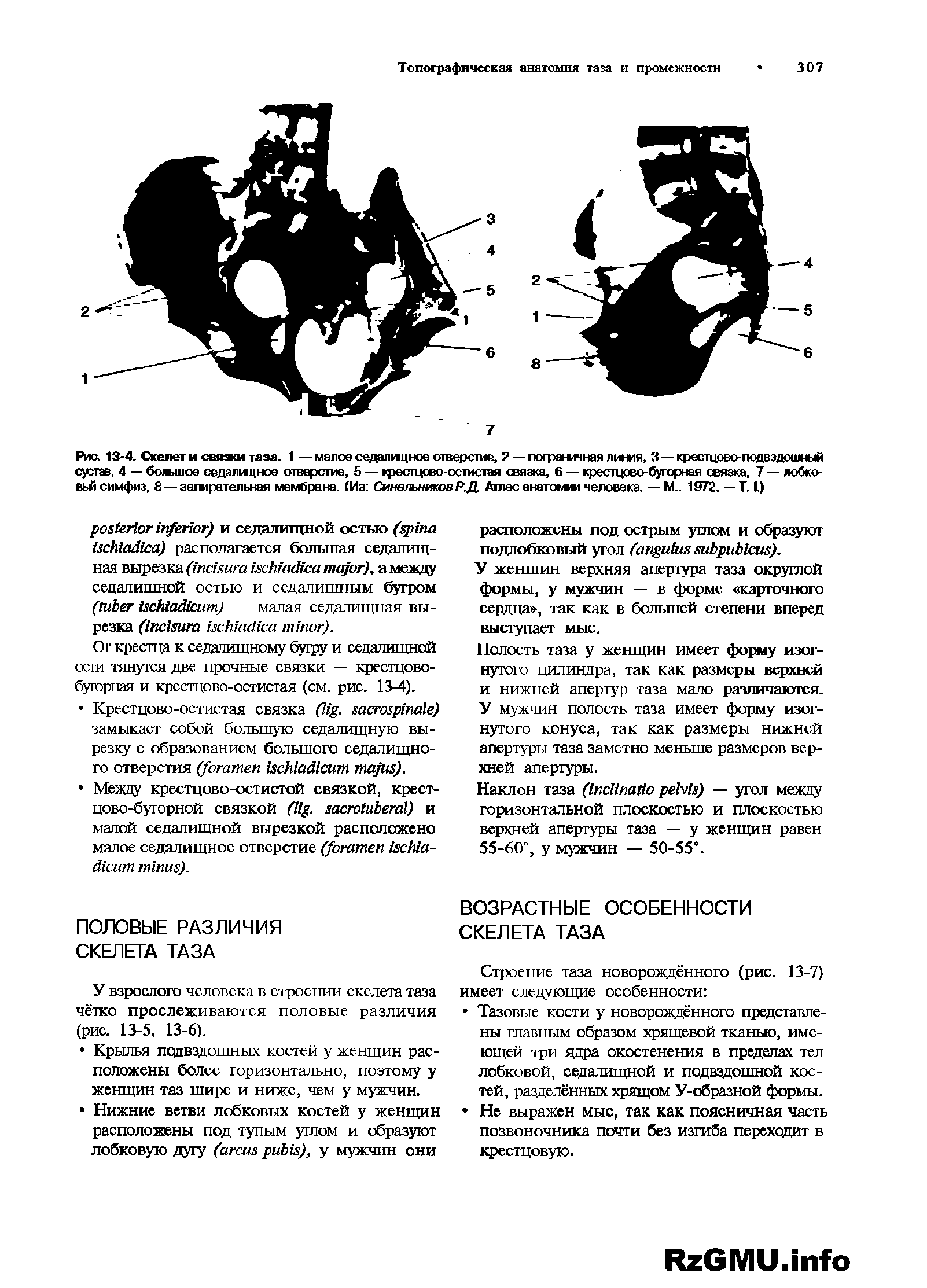 Рис. 13 4. Скелет и связки таза. 1 — малое седалицное отверстие, 2 — пограшчная линия, 3 — крестцово-подвздошный сустав. 4 — большое седалицное отверстие, 5 — крестцово-остистая связка, 6 — крестцово-бугорная связка, 7 — лобковый симфиз, 8 — запирательная мембрана. (Из Синельников РД. Аглае анатомии человека. — М.. 1972. — Т. I.)...