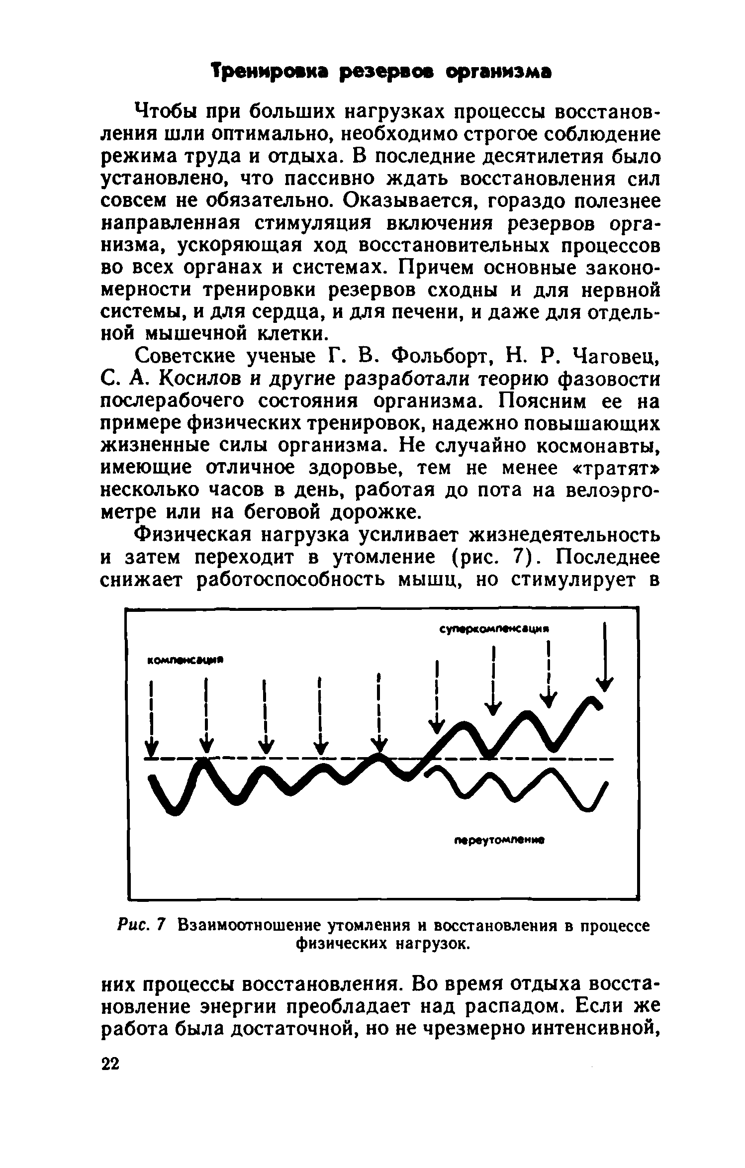 Рис. 7 Взаимоотношение утомления и восстановления в процессе физических нагрузок.