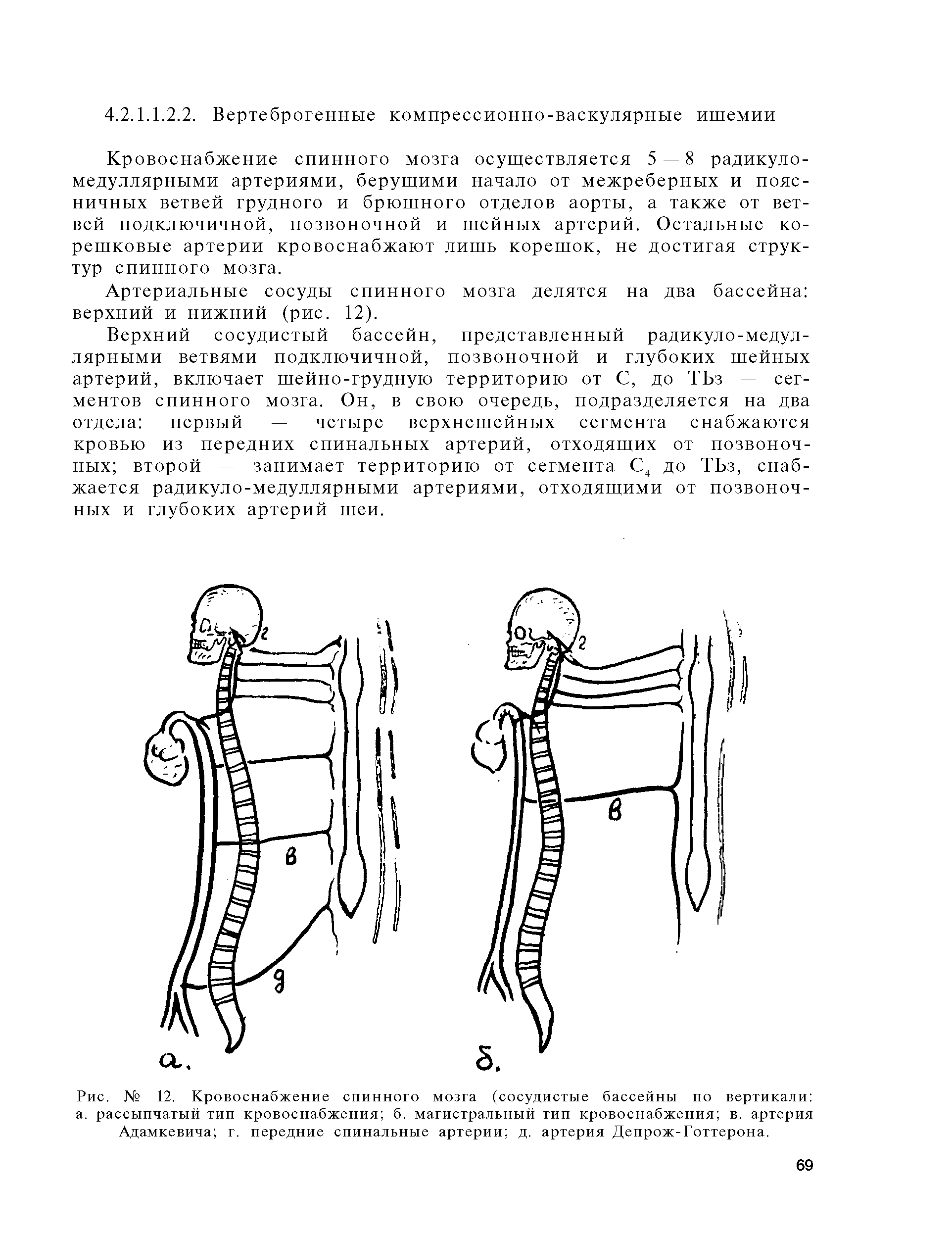 Рис. № 12. Кровоснабжение спинного мозга (сосудистые бассейны по вертикали ...
