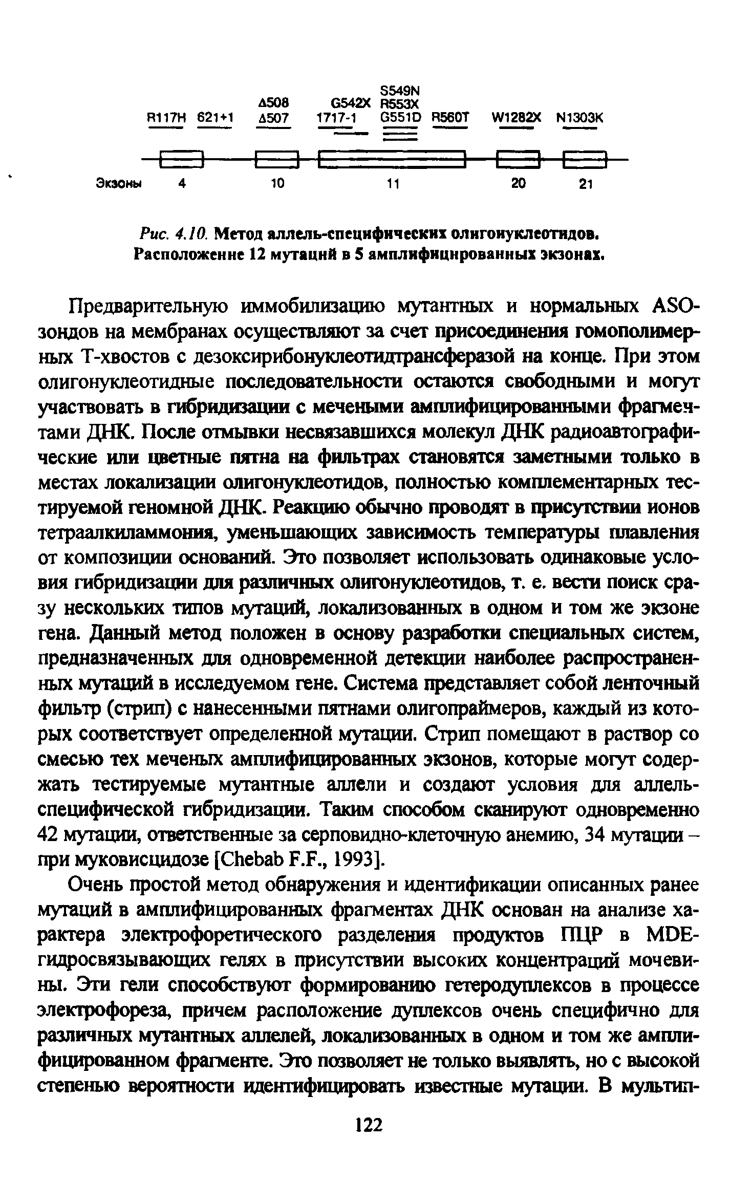 Рис. 4.10. Метод аллель-специфических олигонуклеотидов. Расположение 12 мутаций в 5 амплифицнрованных экзонах.