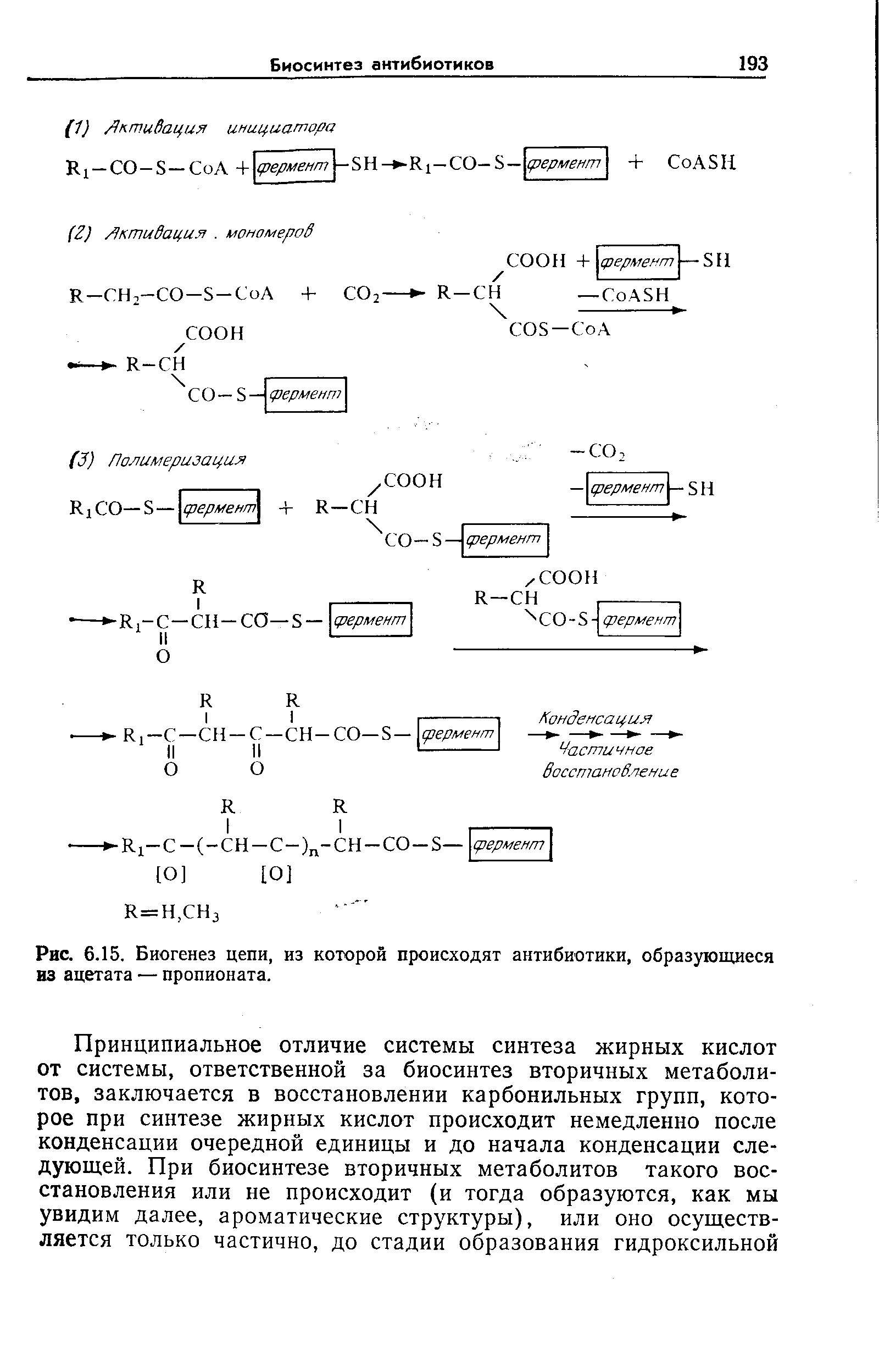 Рис. 6.15. Биогенез цепи, из которой происходят антибиотики, образующиеся из ацетата — пропионата.