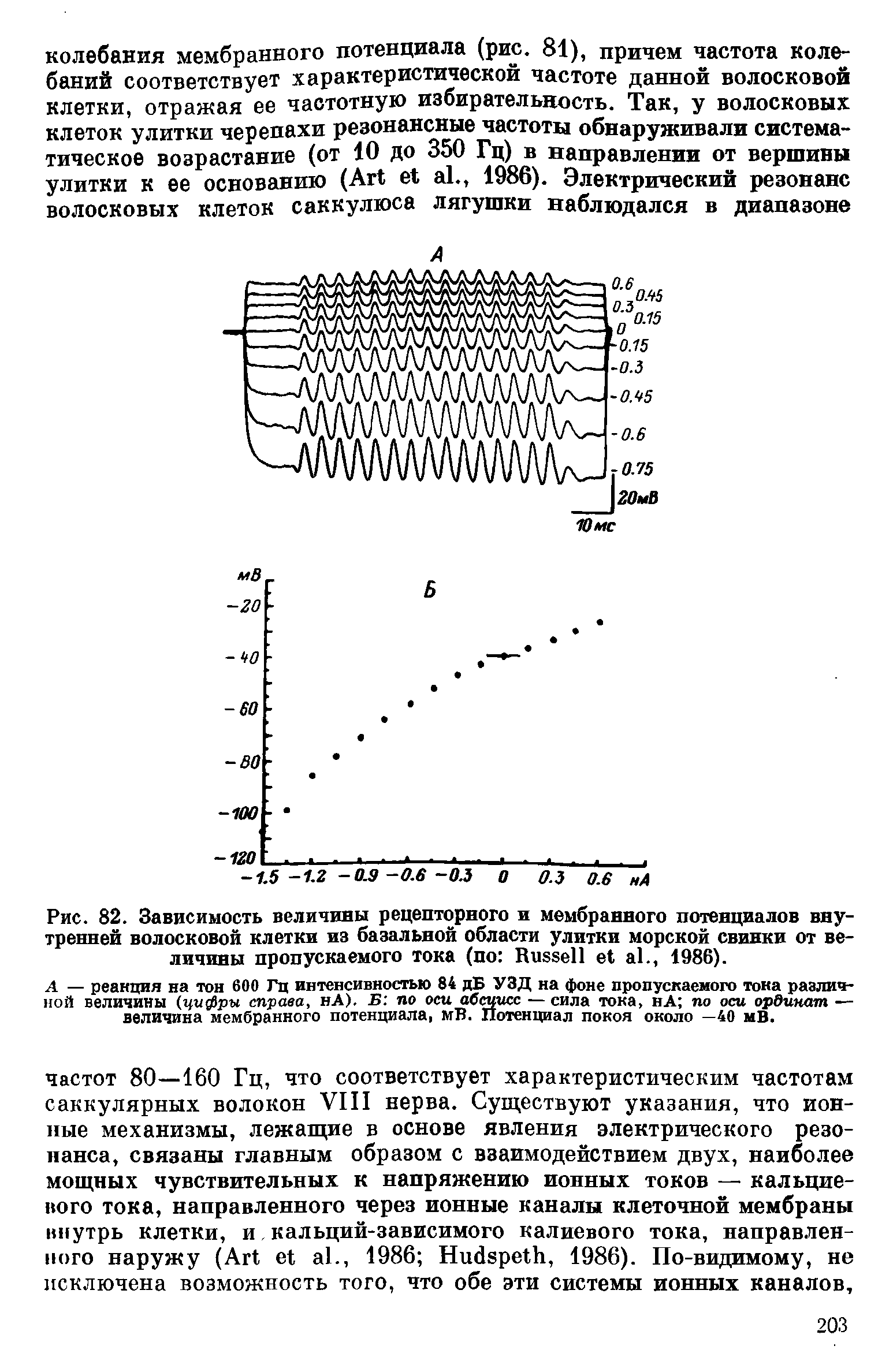 Рис. 82. Зависимость величины рецепторного и мембранного потенциалов внутренней волосковой клетки из базальной области улитки морской свинки от величины пропускаемого тока (по R ., 1986).