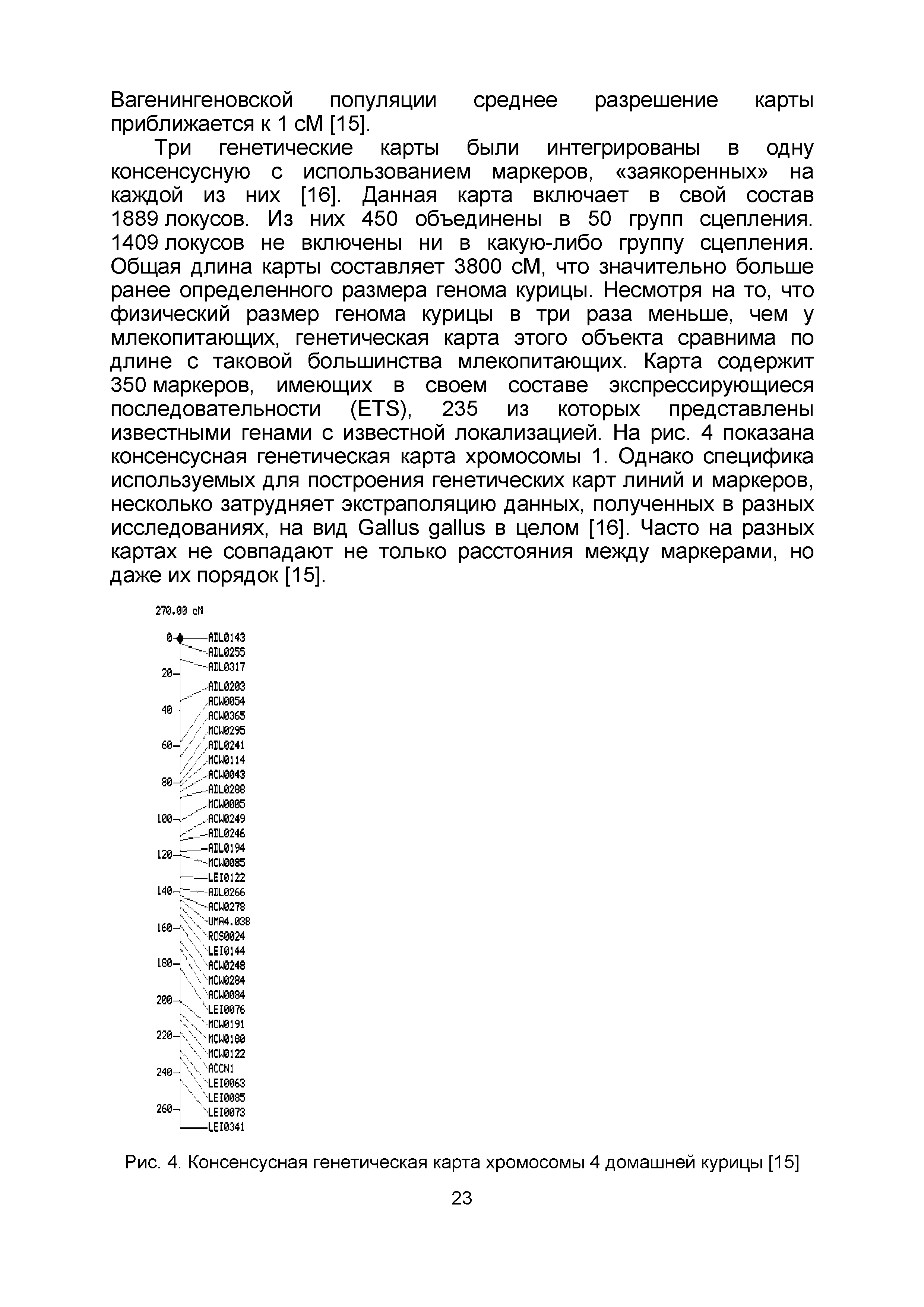 Рис. 4. Консенсусная генетическая карта хромосомы 4 домашней курицы [15] 23...