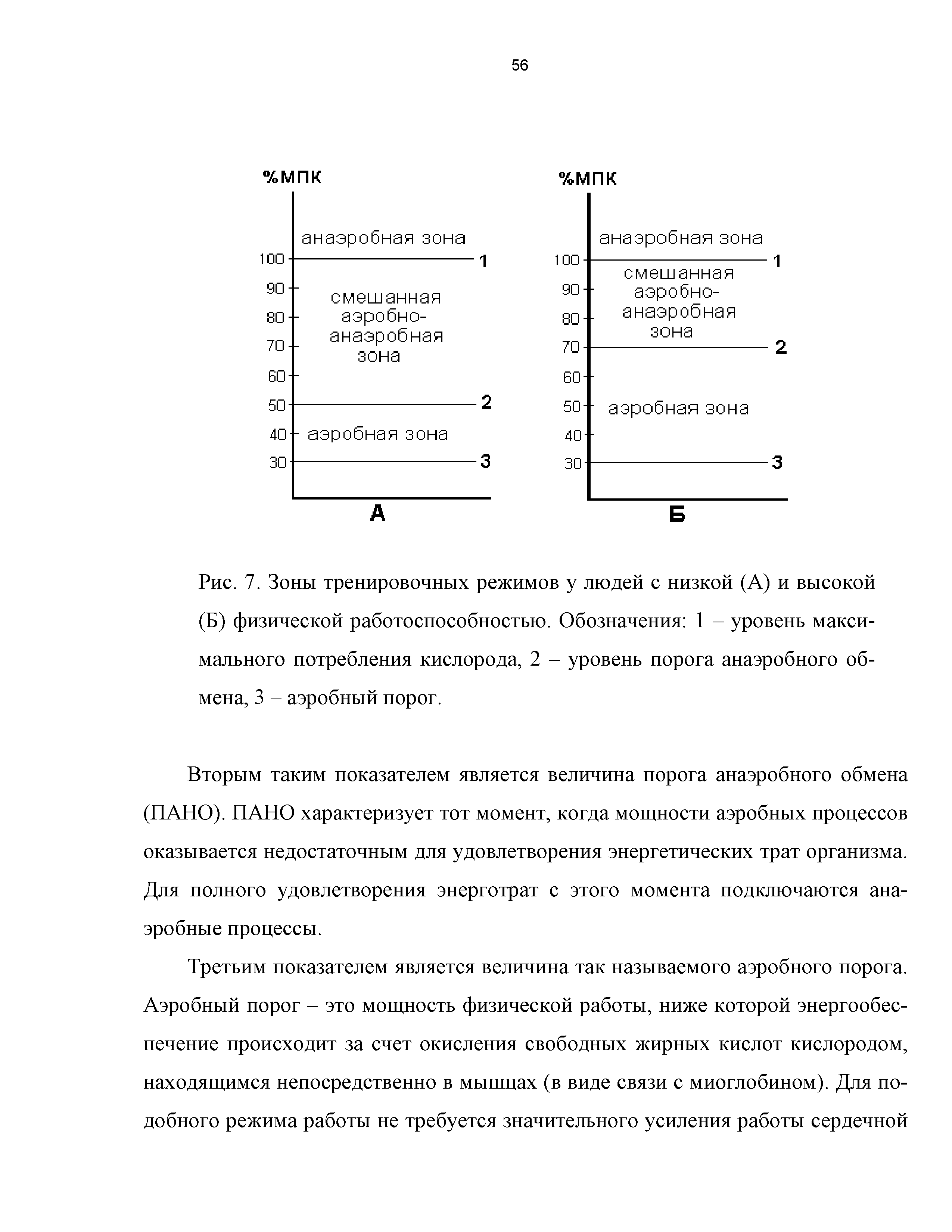 Рис. 7. Зоны тренировочных режимов у людей с низкой (А) и высокой (Б) физической работоспособностью. Обозначения 1 - уровень максимального потребления кислорода, 2 - уровень порога анаэробного обмена, 3 - аэробный порог.