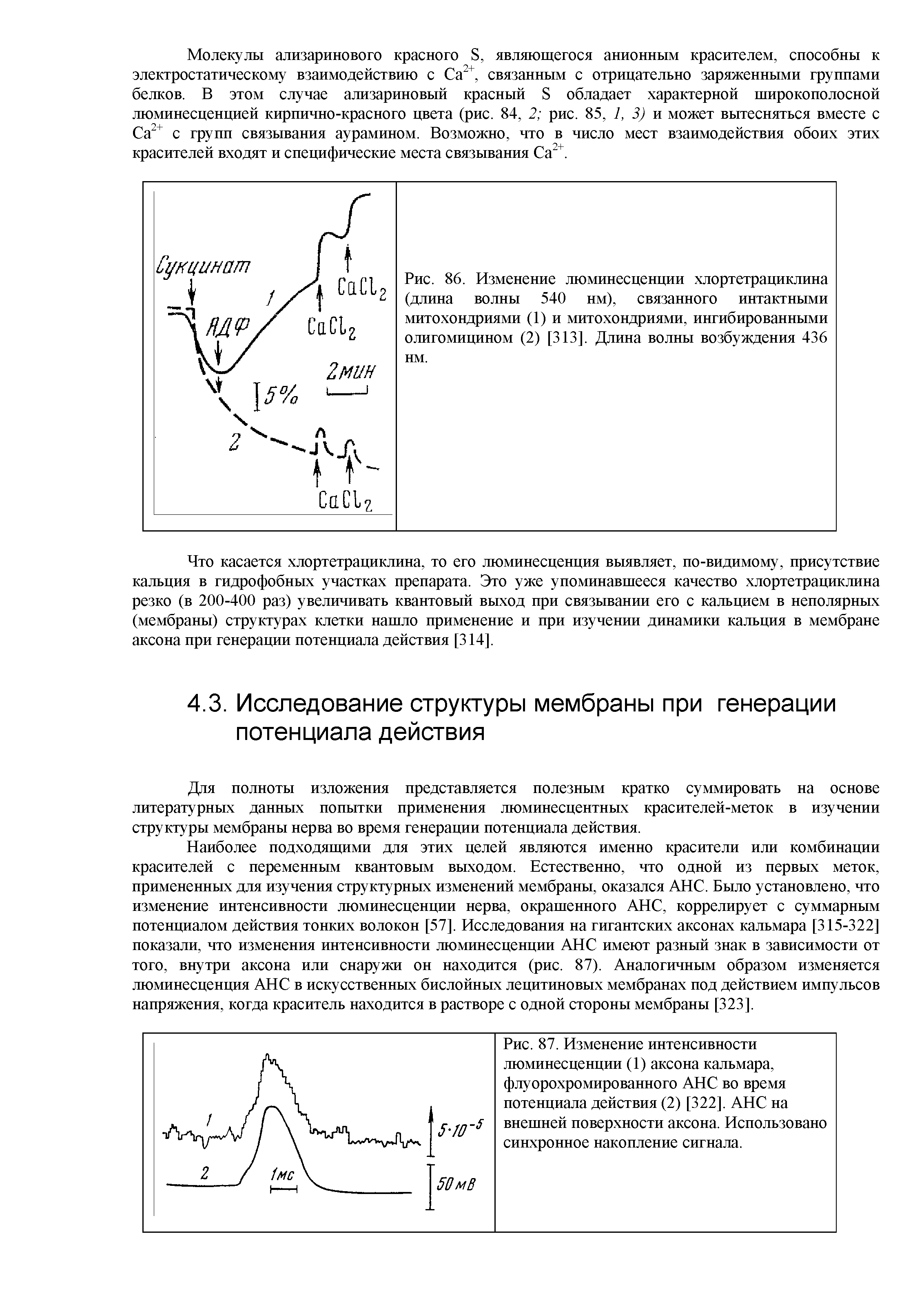 Рис. 86. Изменение люминесценции хлортетрациклина (длина волны 540 нм), связанного интактными митохондриями (1) и митохондриями, ингибированными олигомицином (2) [313]. Длина волны возбуждения 436 нм.