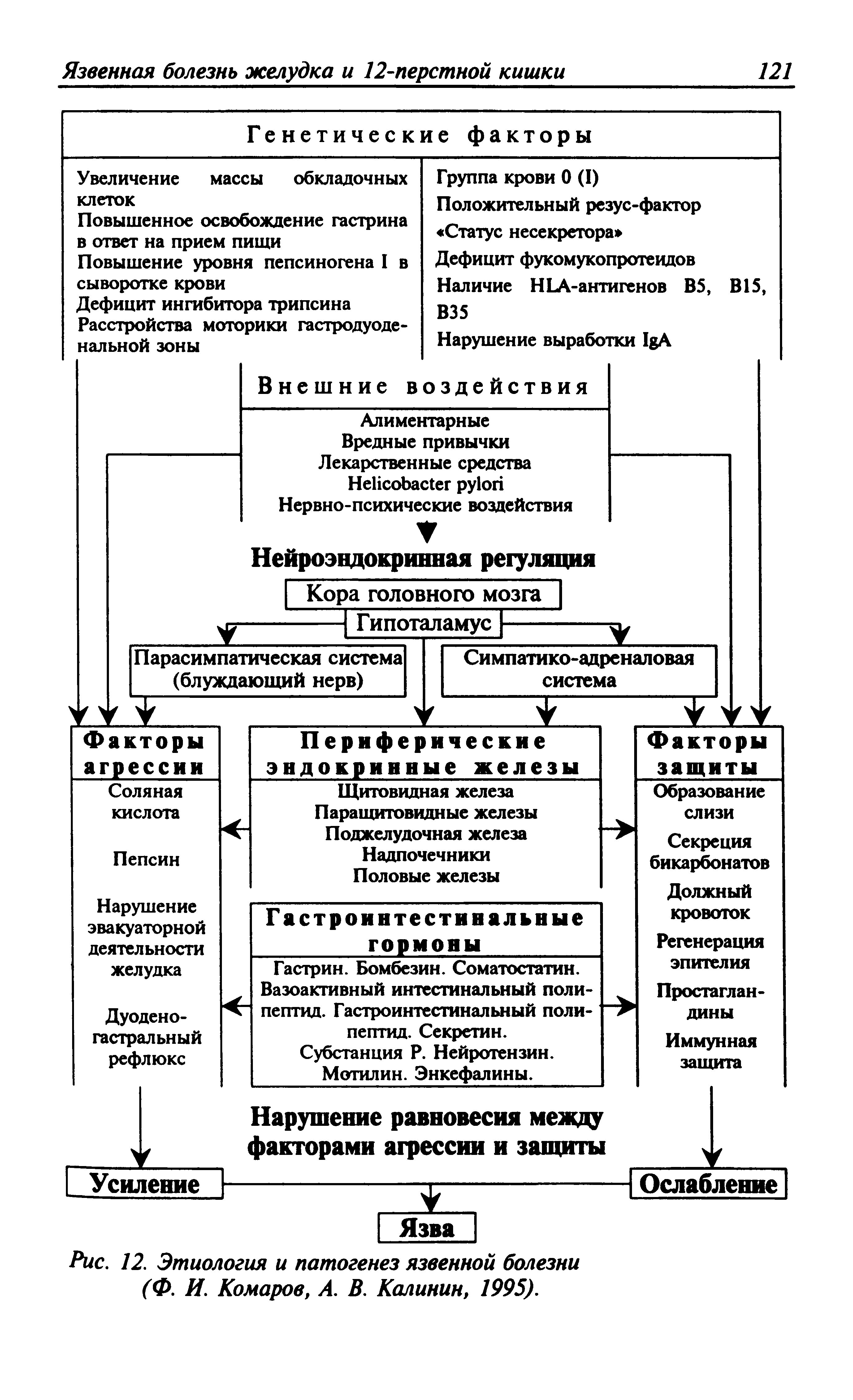 Рис. 12. Этиология и патогенез язвенной болезни (Ф. И. Комаров, А. В. Калинин, 1995).