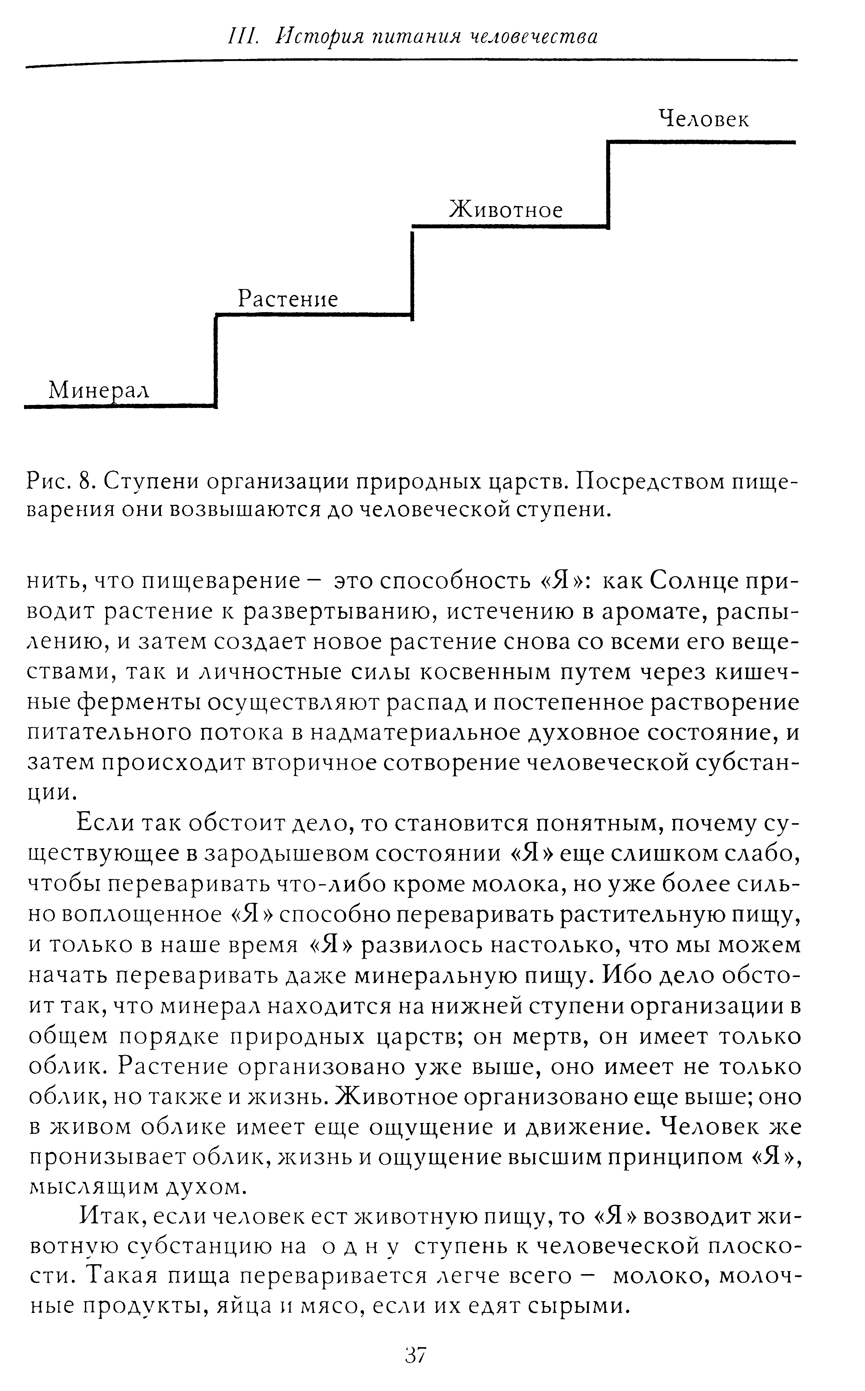 Рис. 8. Ступени организации природных царств. Посредством пищеварения они возвышаются до человеческой ступени.