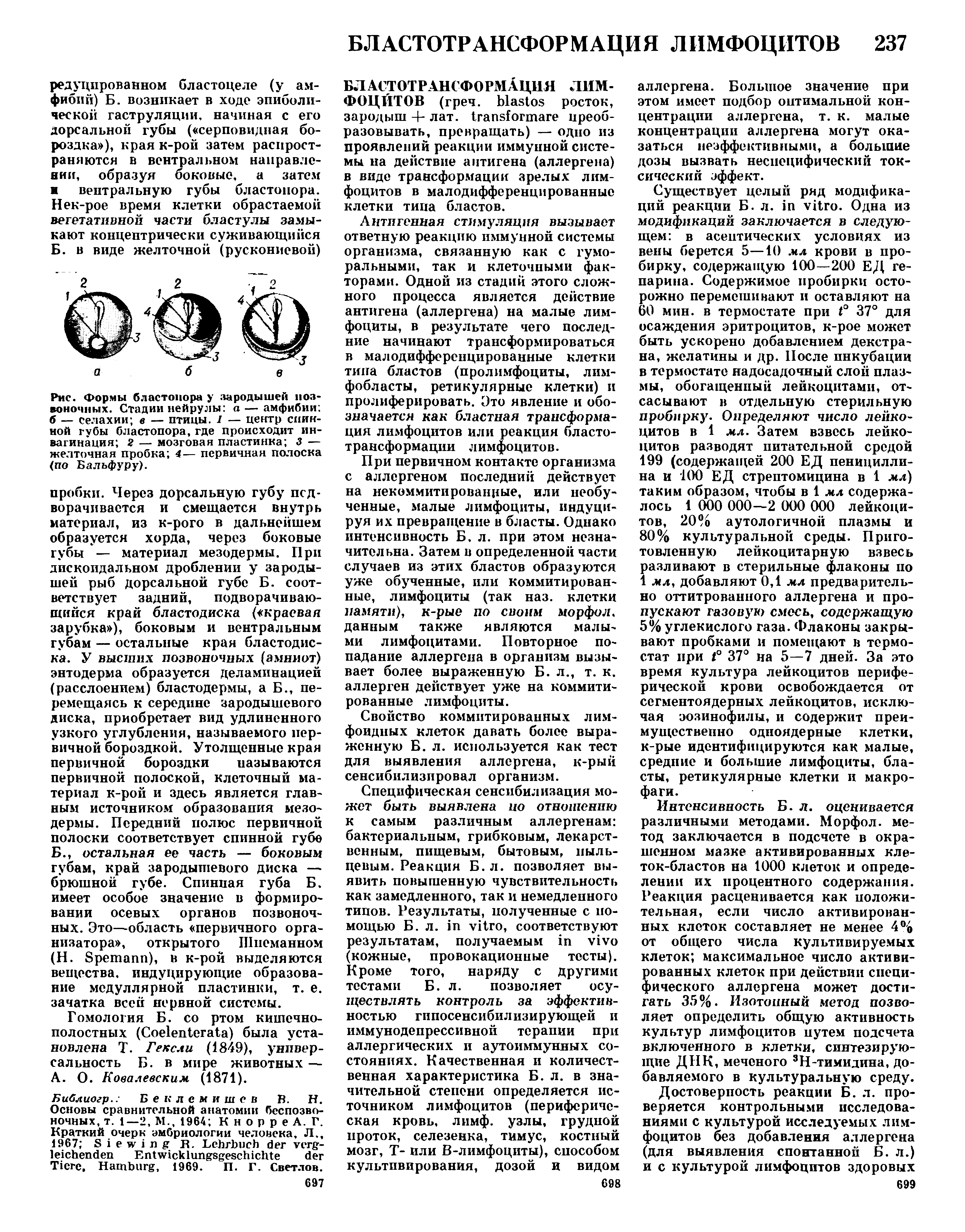 Рис. Формы бластопора у зародышей позвоночных. Стадии нейрулы а — амфибии б — селахии в — птицы. I — центр спинной губы бластопора, где происходит инвагинация 2 — мозговая пластинка 3 — желточная пробка 4— первичная полоска (по Бальфуру).