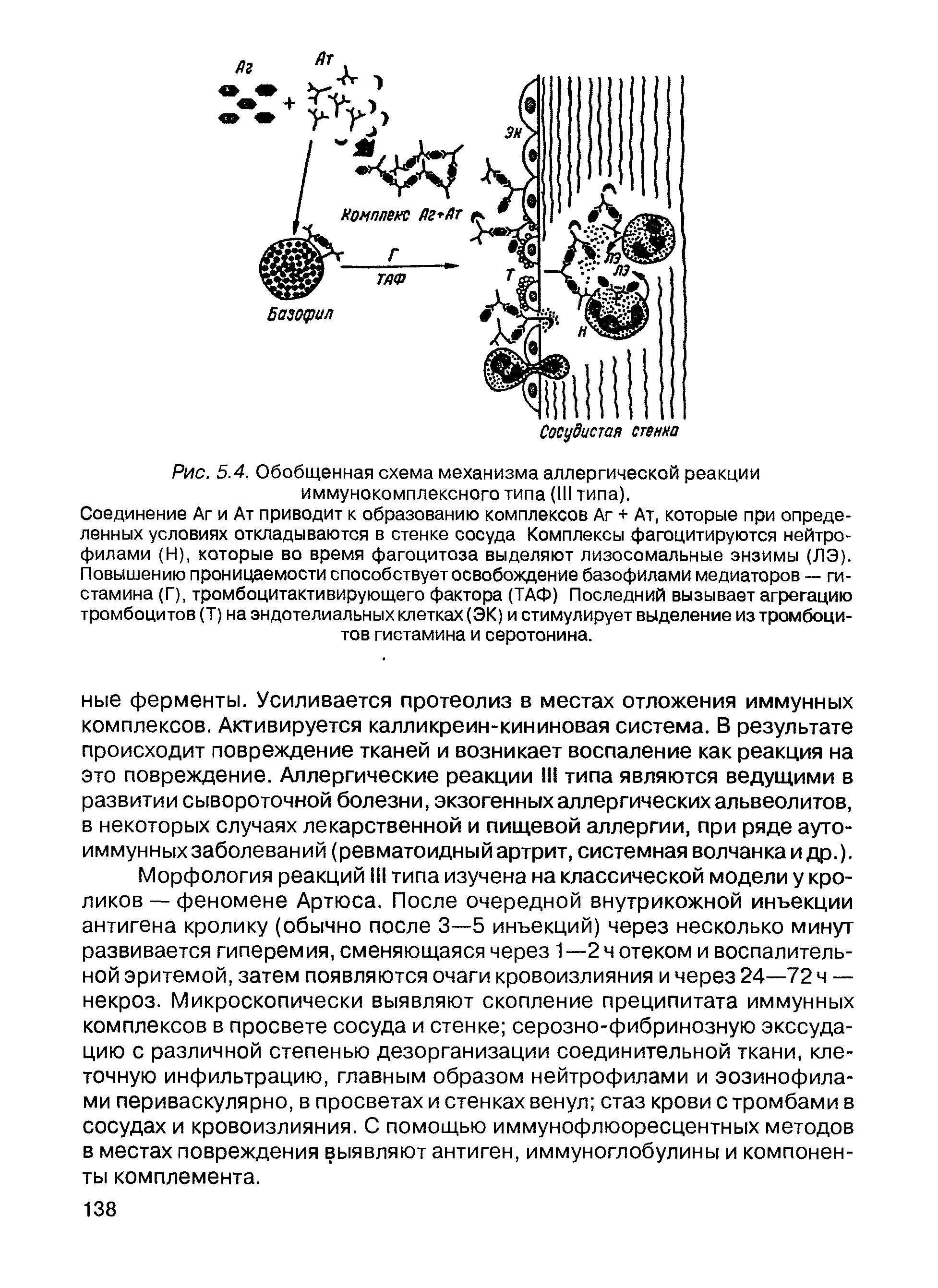 Рис. 5.4. Обобщенная схема механизма аллергической реакции иммунокомплексного типа (III типа).