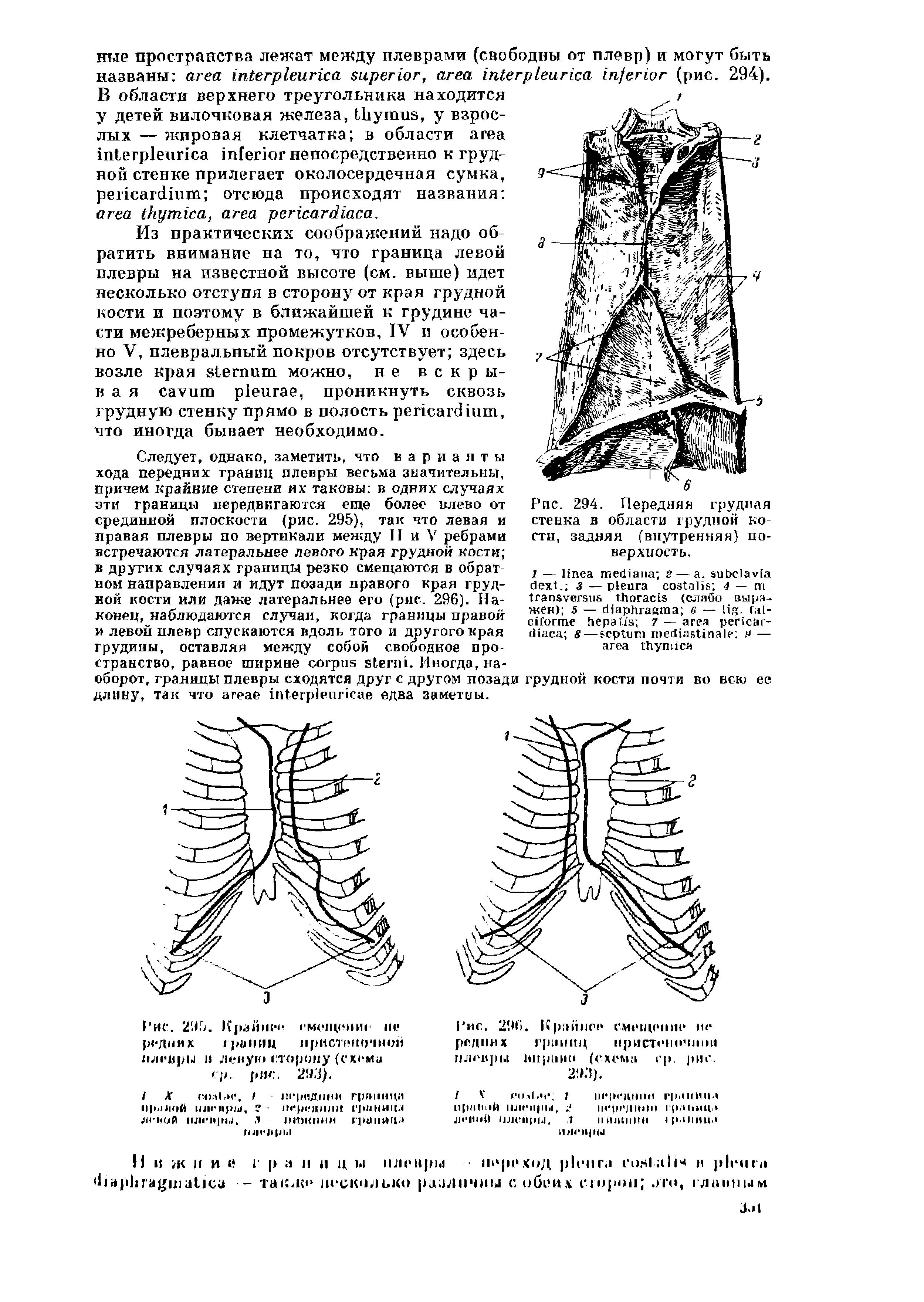 Рис. 295. Крайни г мощен роднях границ пристеночной плевры в левую сторону (схема ср. рис. 293).