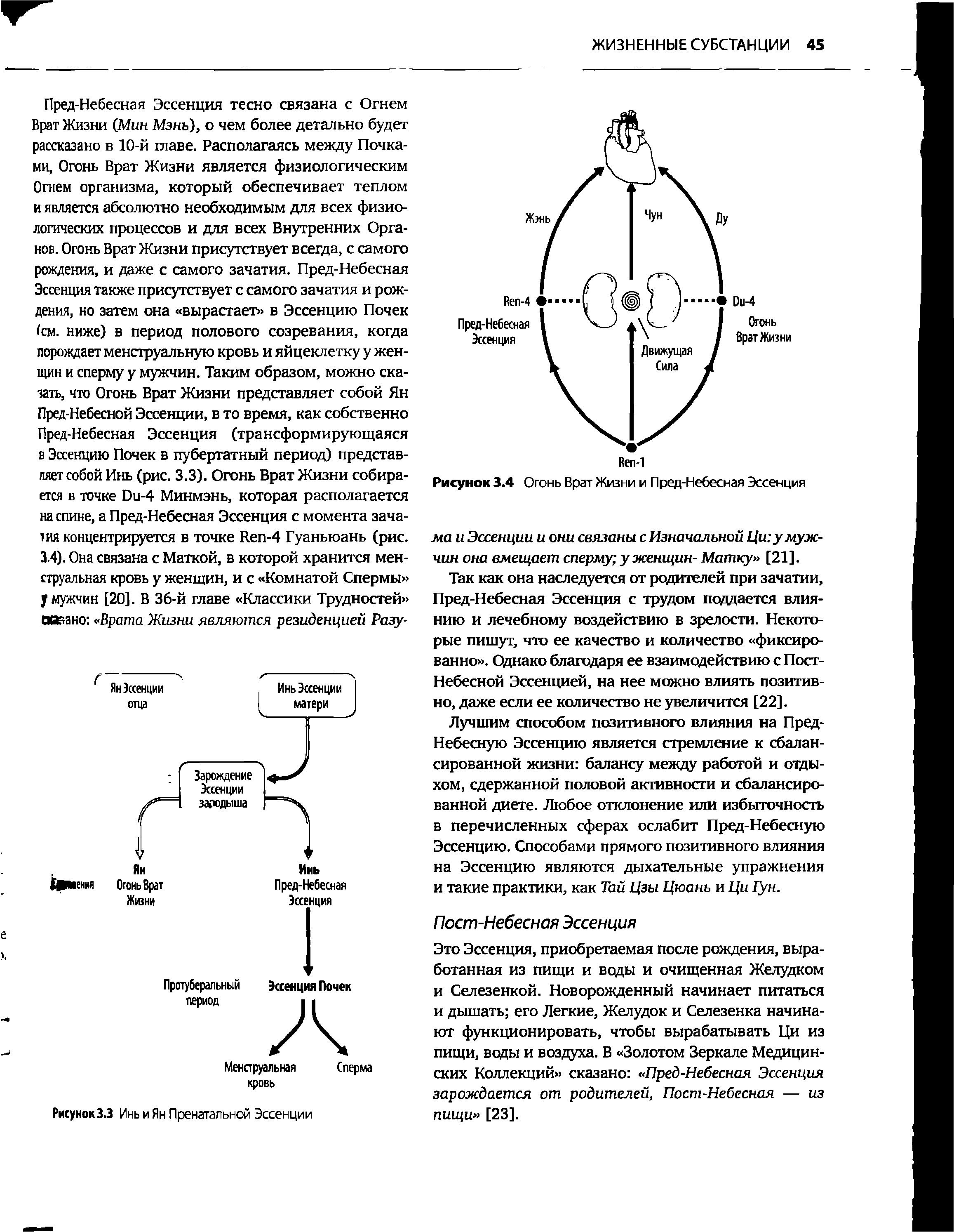 Рисунок 3.4 Огонь Врат Жизни и Пред-Небесная Эссенция...