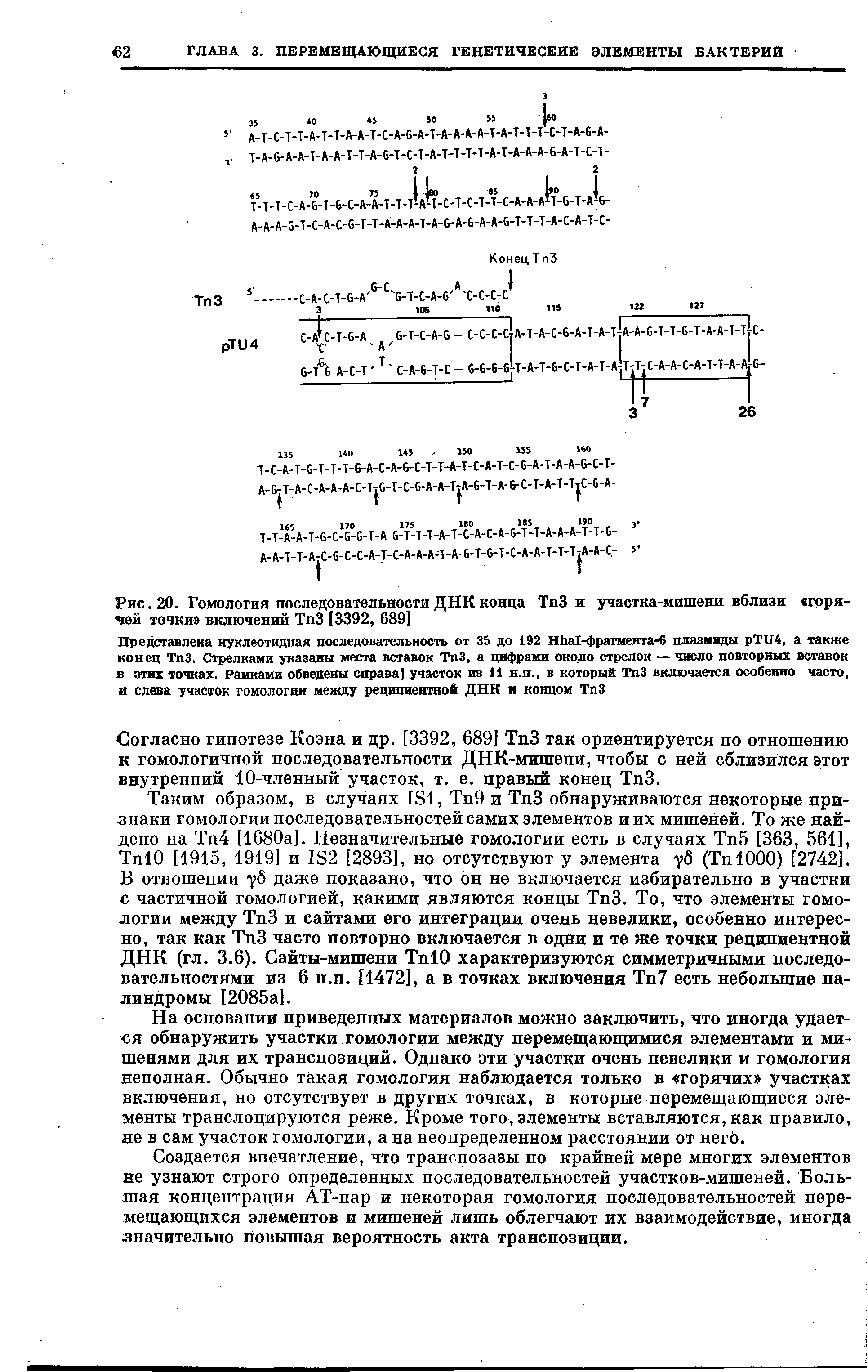 Рис. 20. Гомология последовательности ДНК конца ТпЗ и участка-мишени вблизи горячей точки включений ТпЗ [3392, 689]...