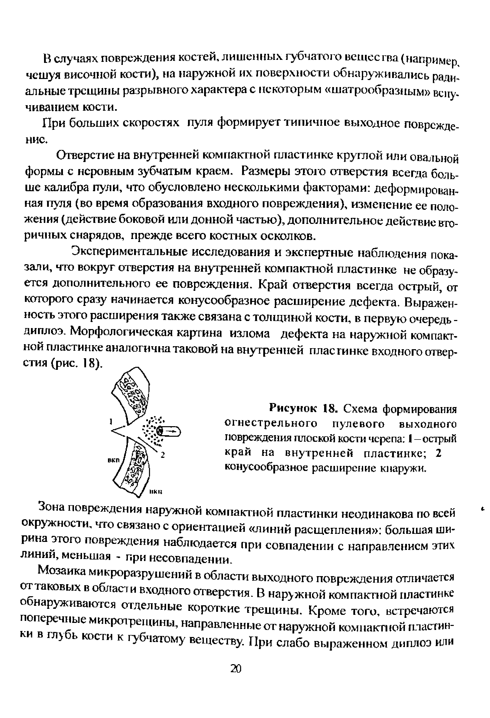 Рисунок 18. Схема формирования огнестрельного пулевого выходного повреждения плоской кости черепа 1 - острый край на внутренней пластинке 2 конусообразное расширение кнаружи.