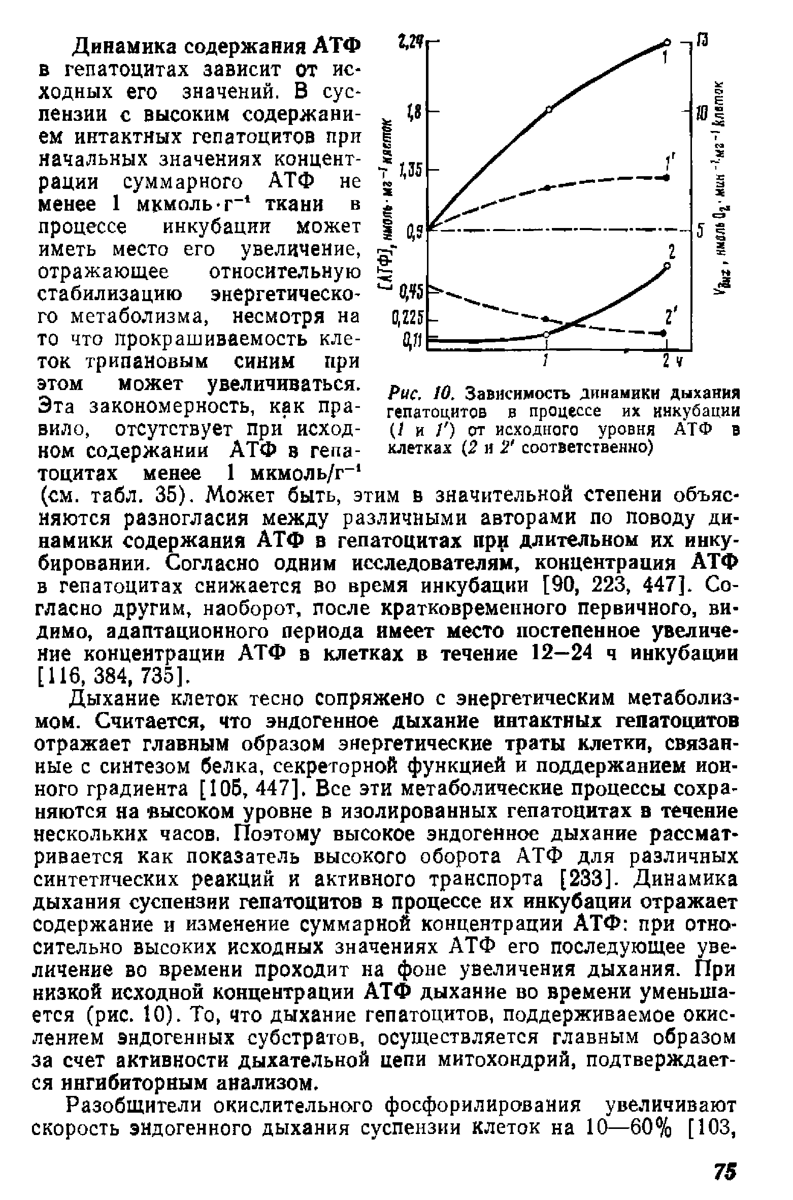 Рис. 10. Зависимость динамики дыхания гепатоцитов в процессе их инкубации (/ и / ) от исходного уровня АТФ в клетках 2 и 2 соответственно)...