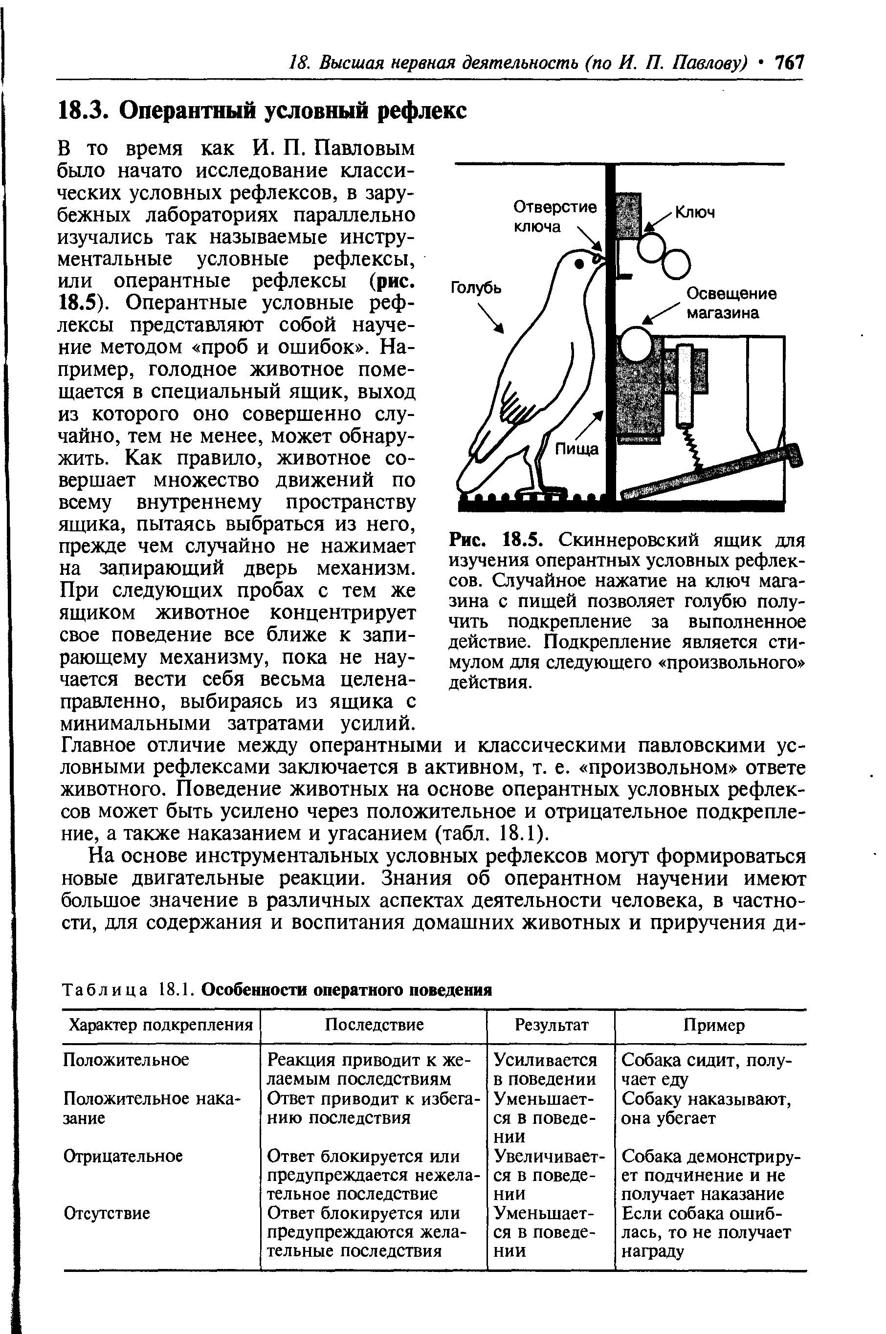 Рис. 18.5. Скиннеровский ящик для изучения оперантных условных рефлексов. Случайное нажатие на ключ магазина с пищей позволяет голубю получить подкрепление за выполненное действие. Подкрепление является стимулом для следующего произвольного действия.